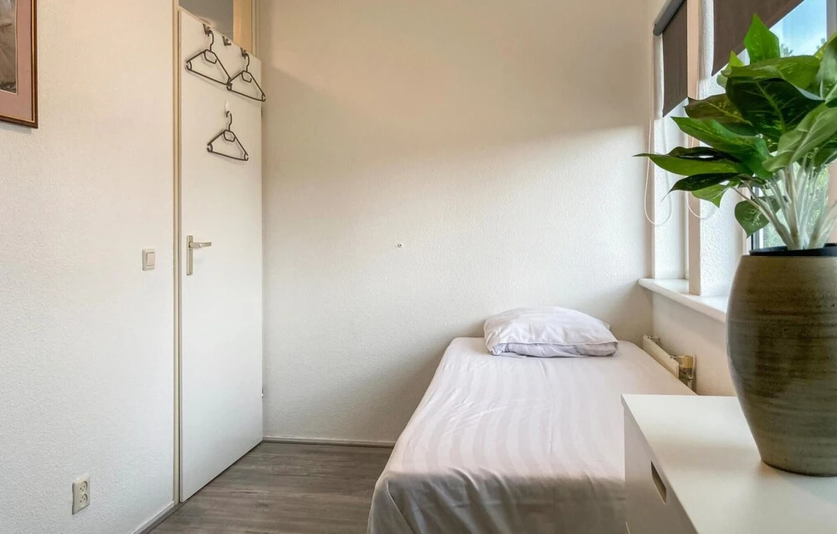 Stunning Home in Vlagtwedde With Indoor Swimming Pool, Wifi and 3 Bedrooms