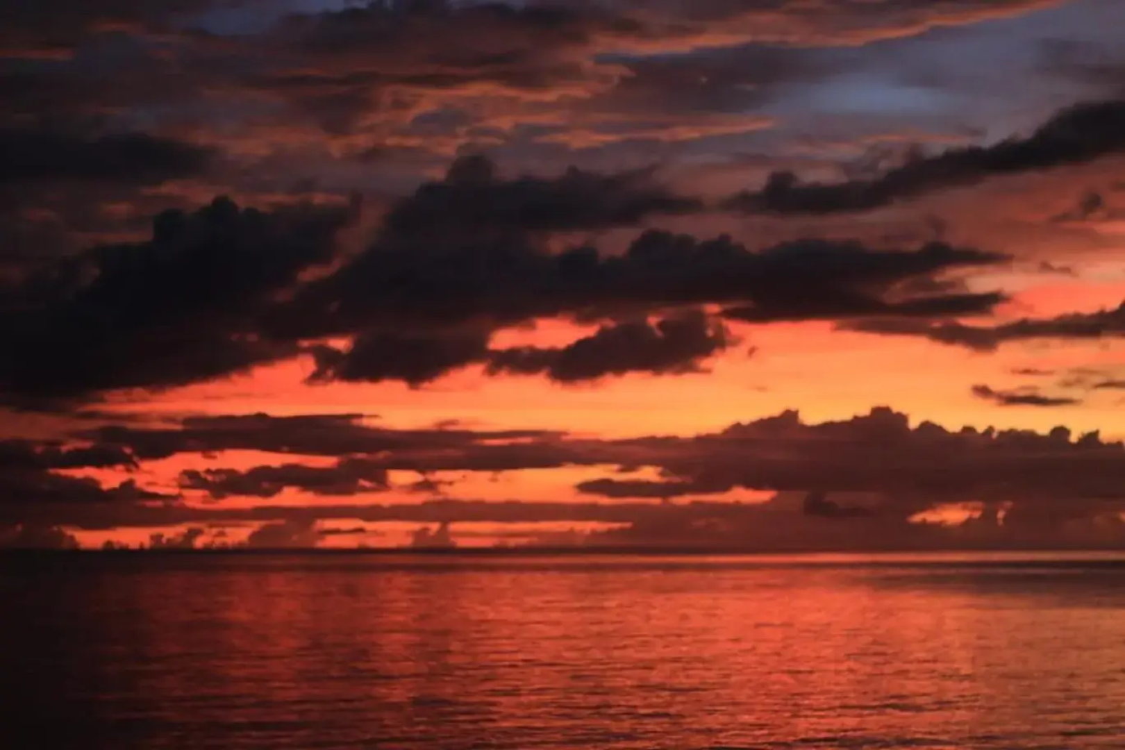 Studio ds résidence sécurisée avec vue & accès à la mer .