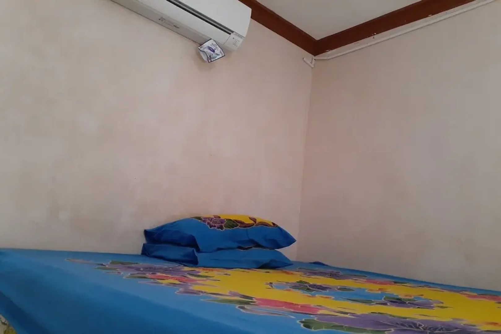 Spot On 2846 Kost Faza