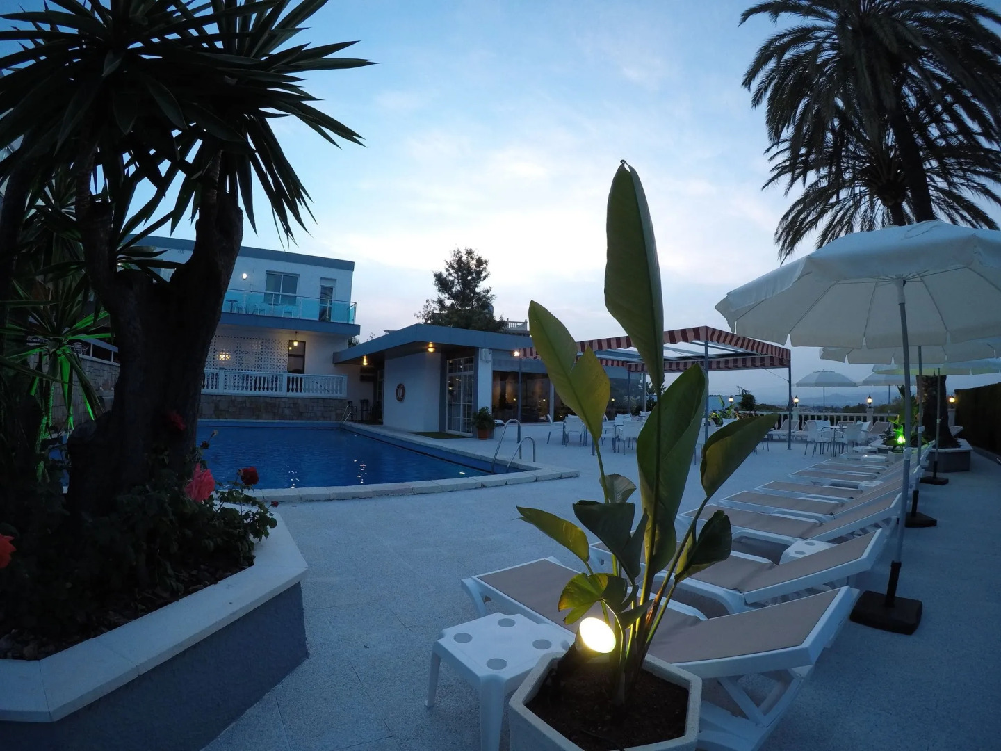 Отель Complejo Los Rosales