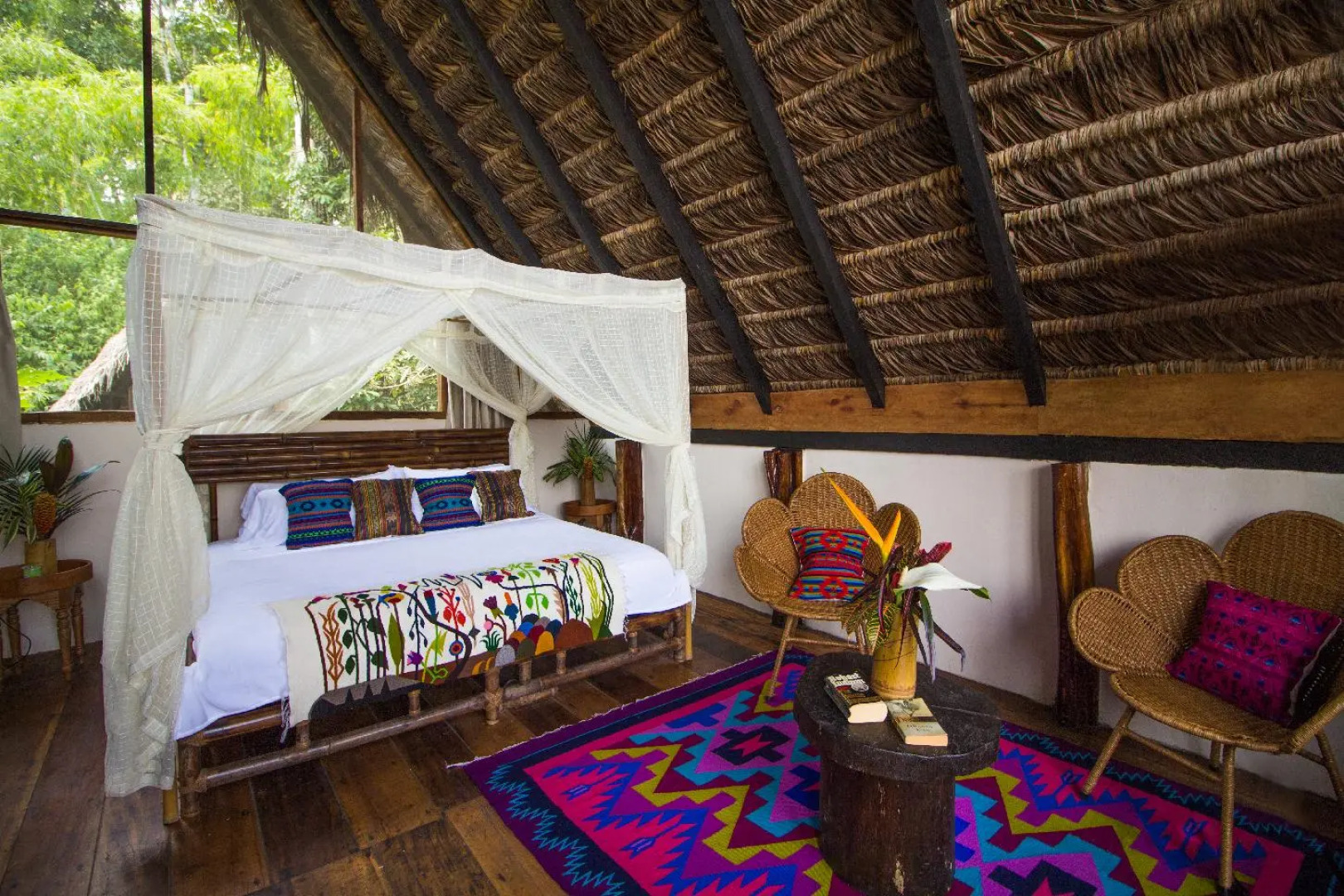 Socia/tel Amazon Tena