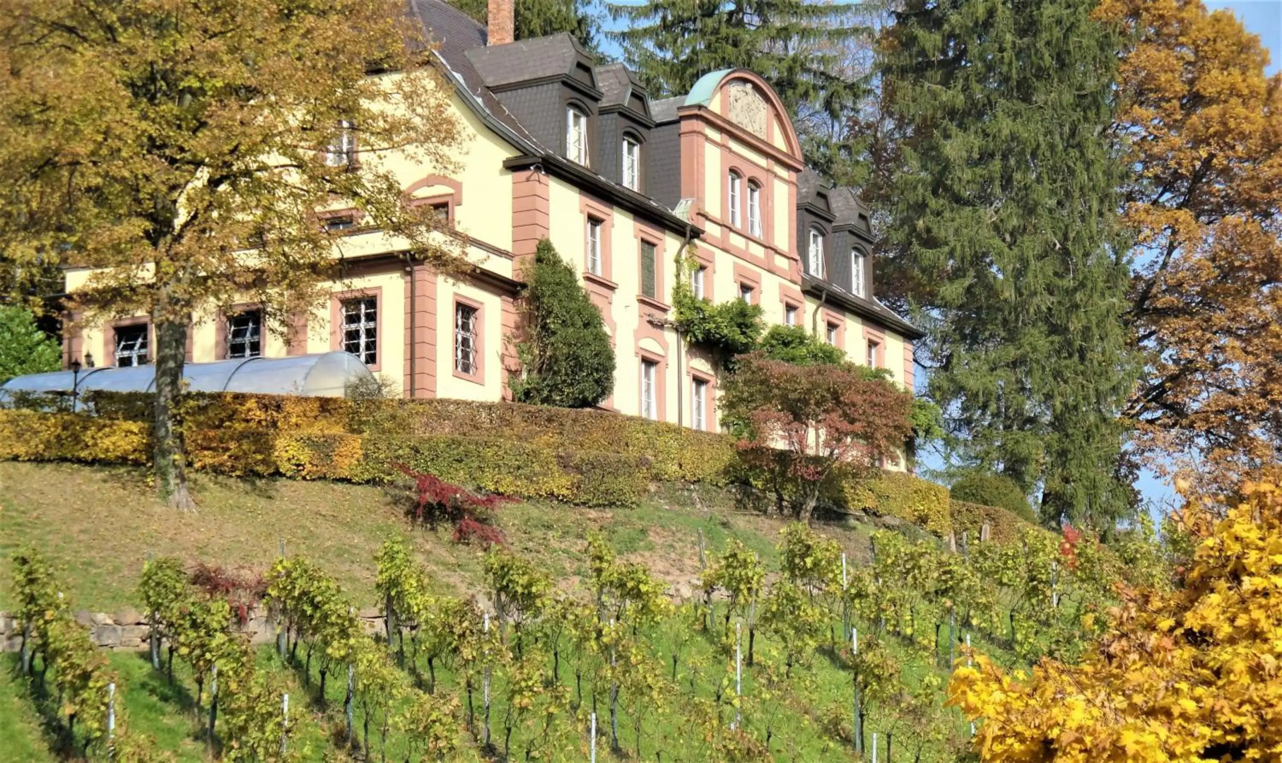 Wein Lodge Durbach - Josephsberg