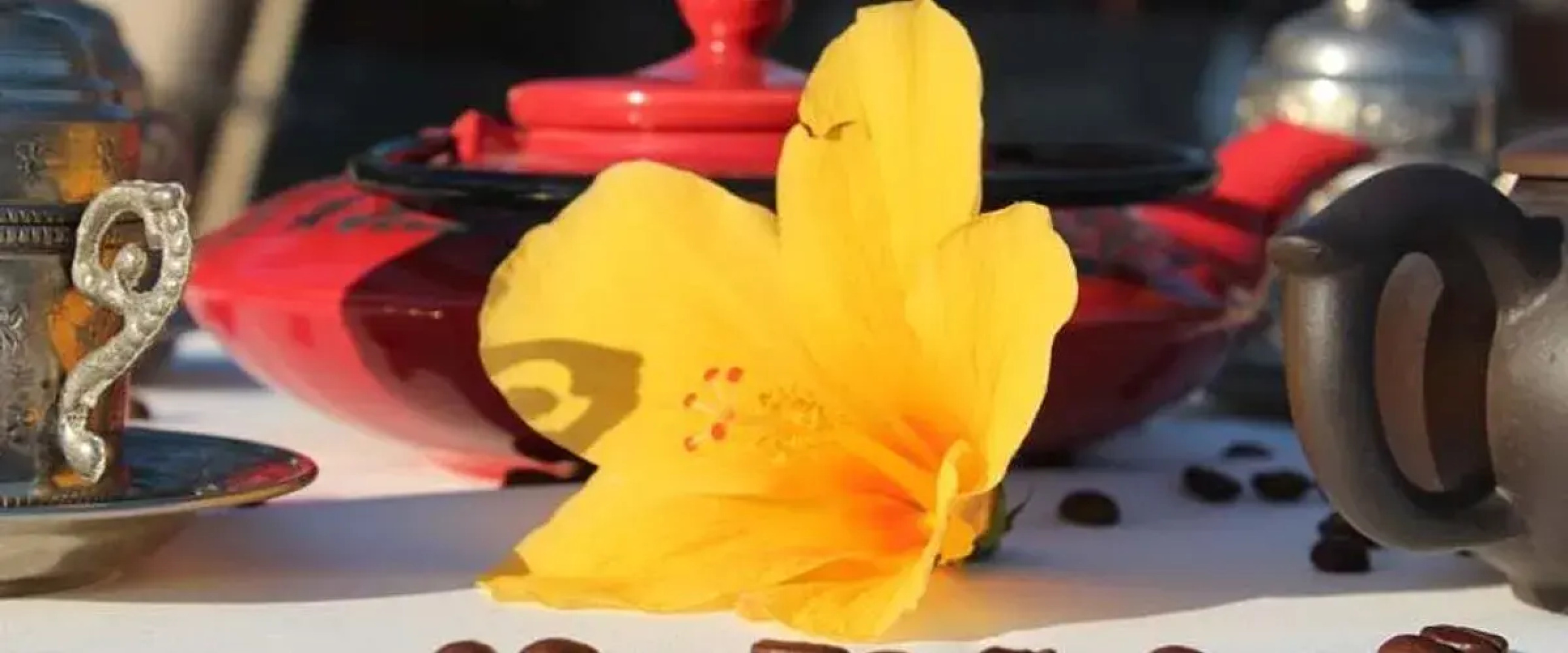 Sayfiye Ekincik Otel