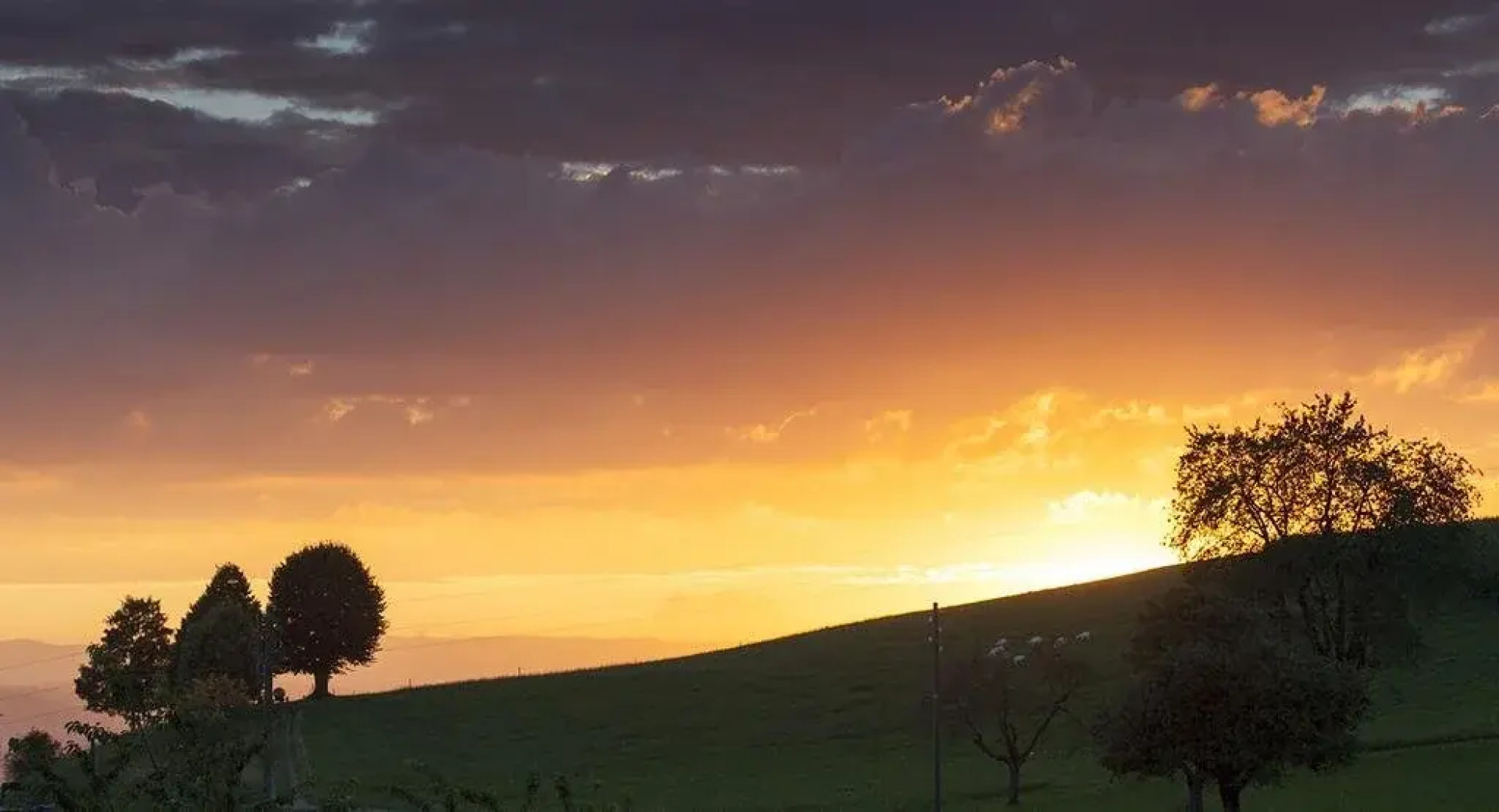Seminar Hotel Möschberg