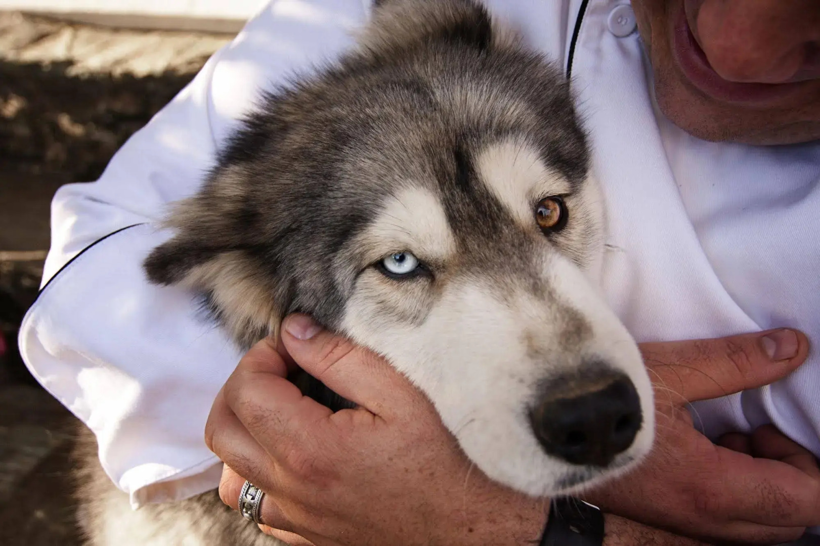 Schoone Oordt Country House