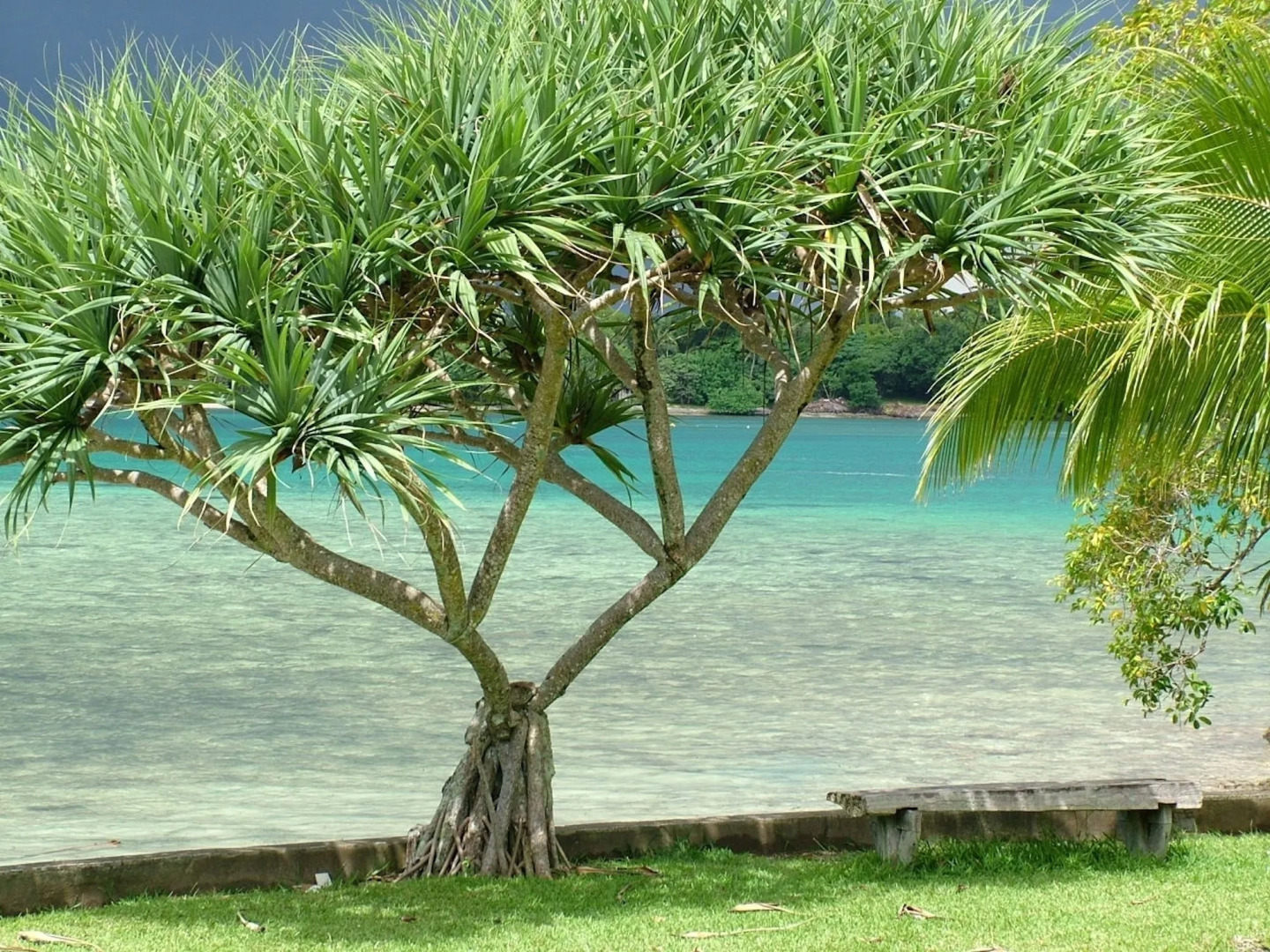 Pacific Lagoon Apartments