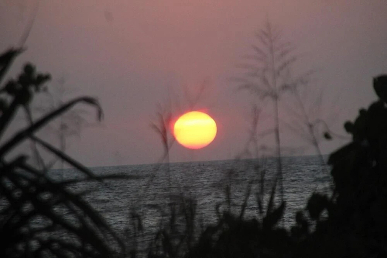 Villa Balapitiya Beach