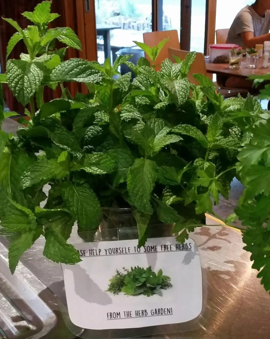 YHA Grampians Eco Halls Gap