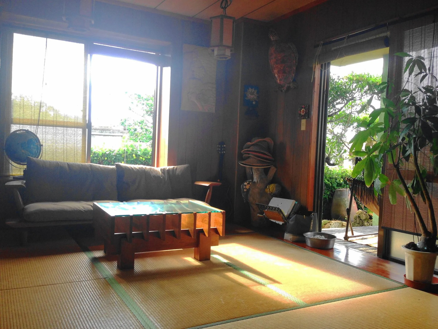 Hotel Hibiscus - Hostel