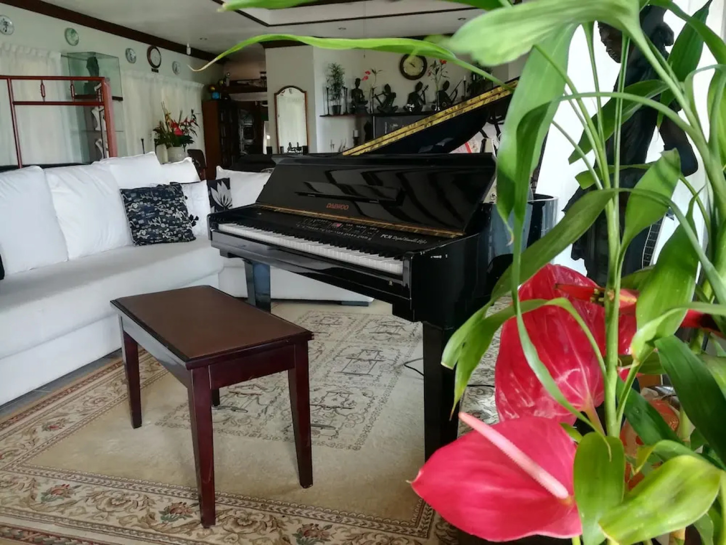 The Wilsons' Shangrila