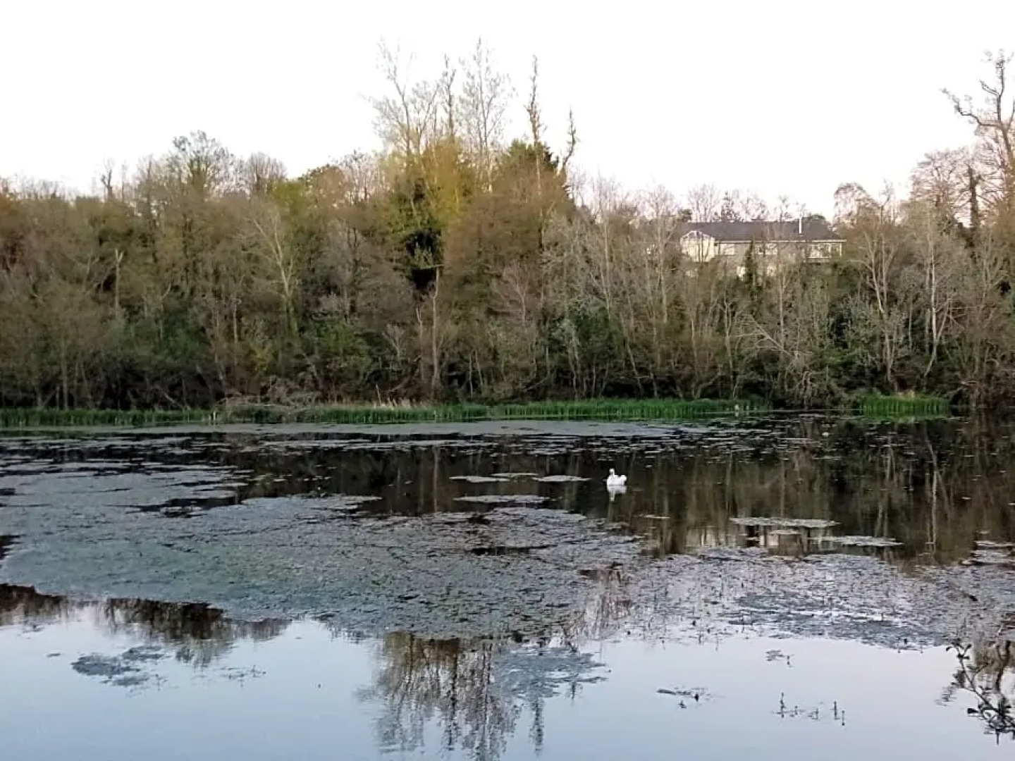 Baylough Homestay Room only