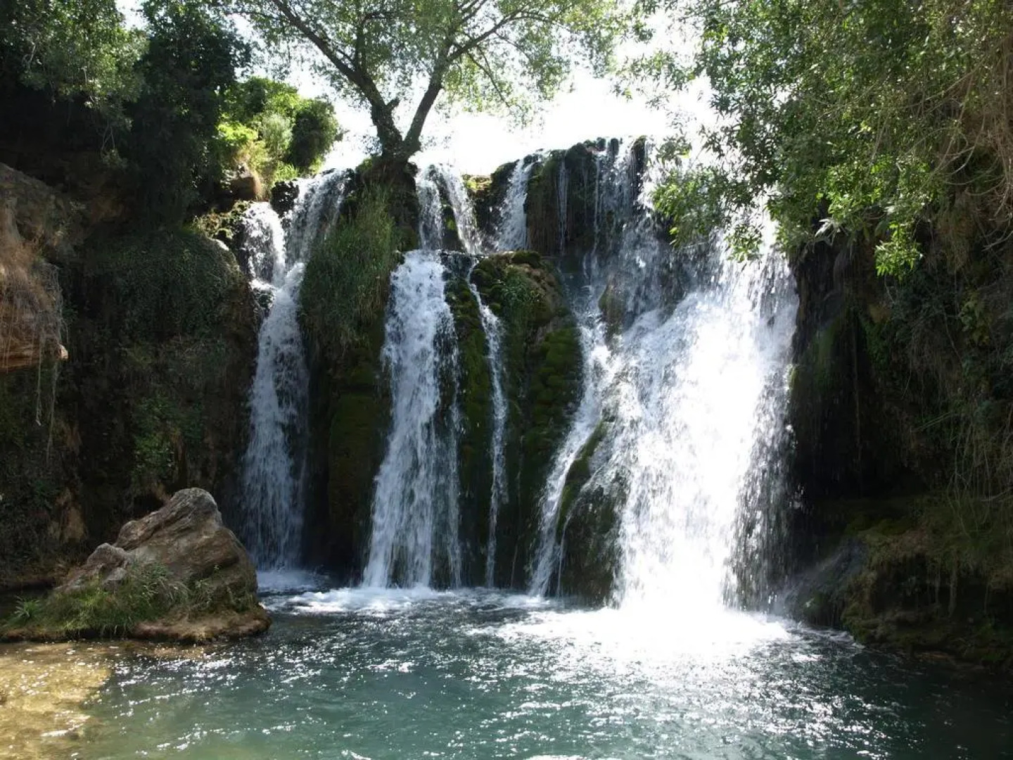 Apartamentos Rurales Camino del Cid