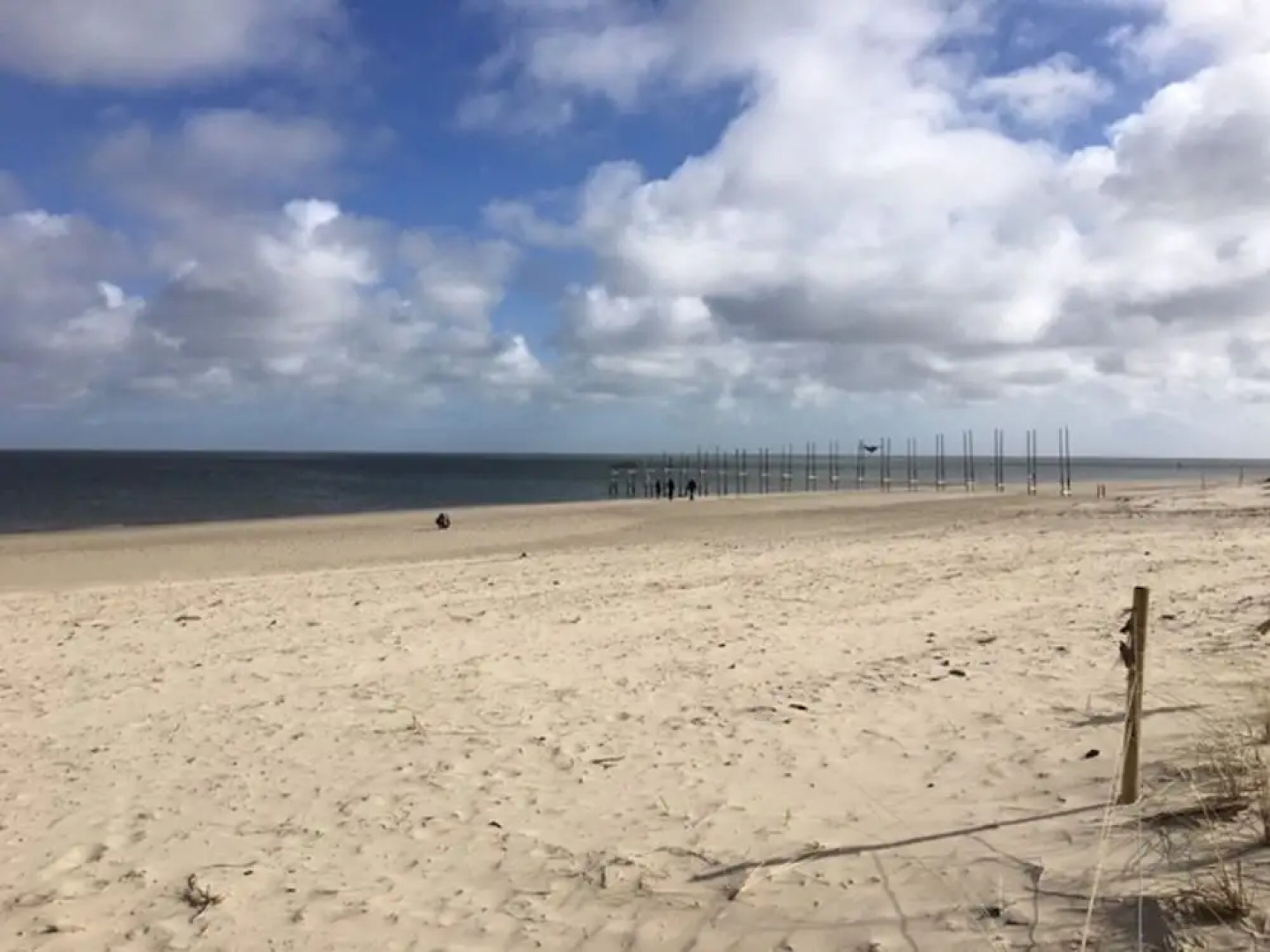 Pet-friendly Texel Escape