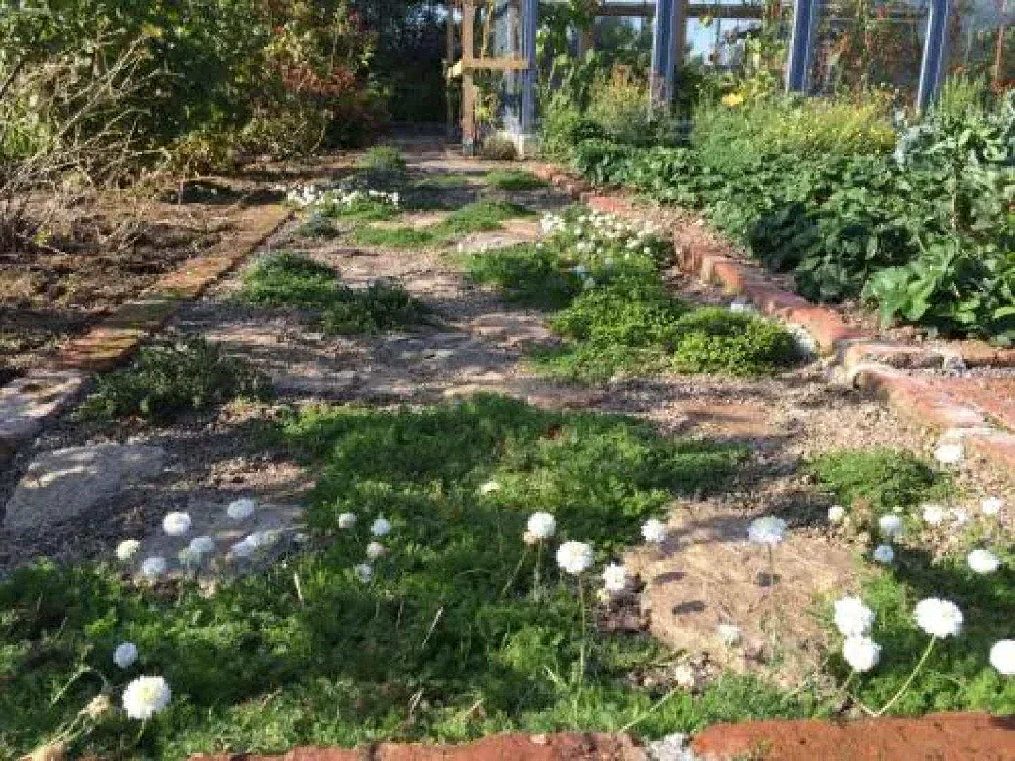 Bahnhof Frauenstein Apartment B