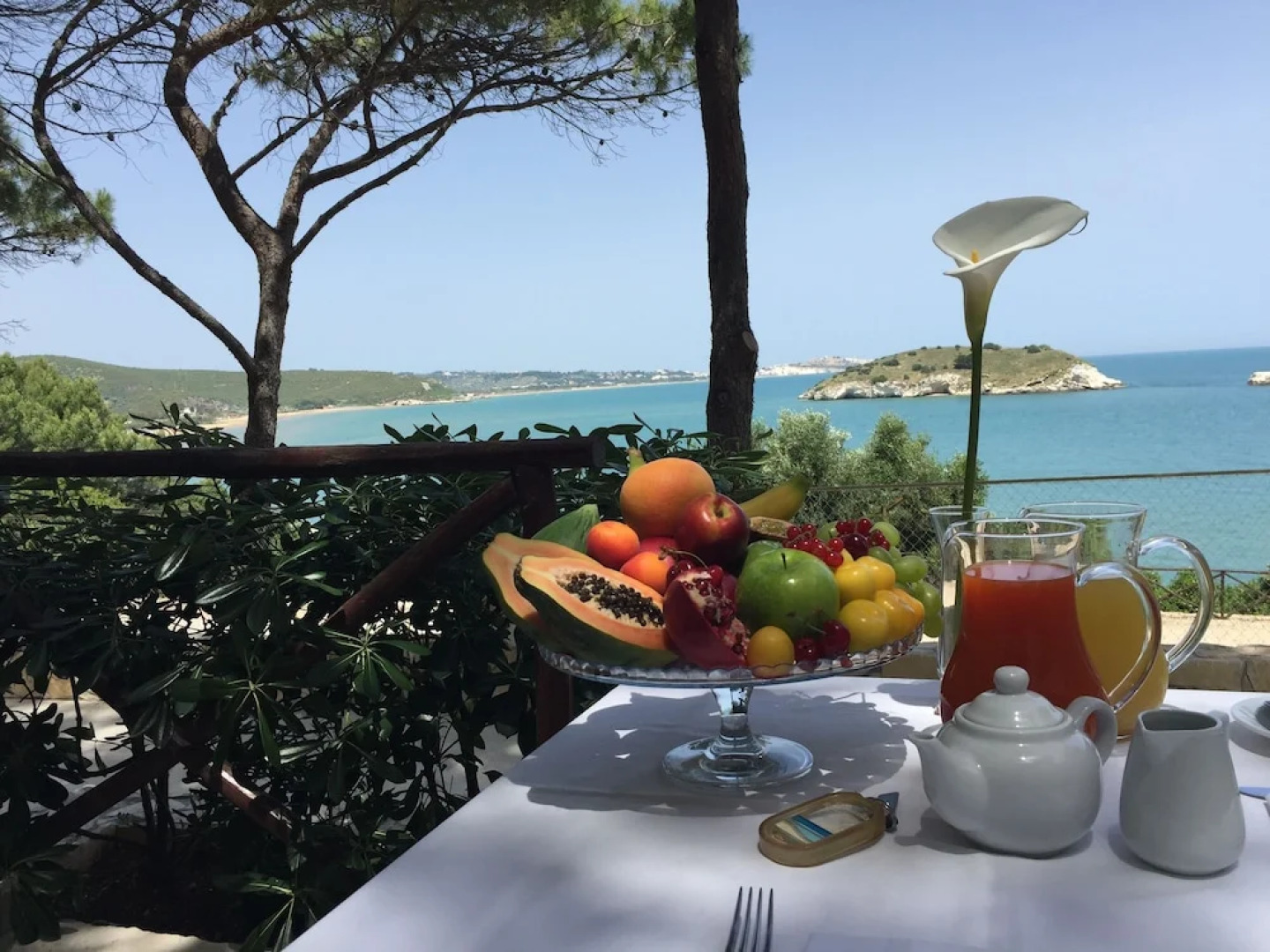 Gattarella Family Resort