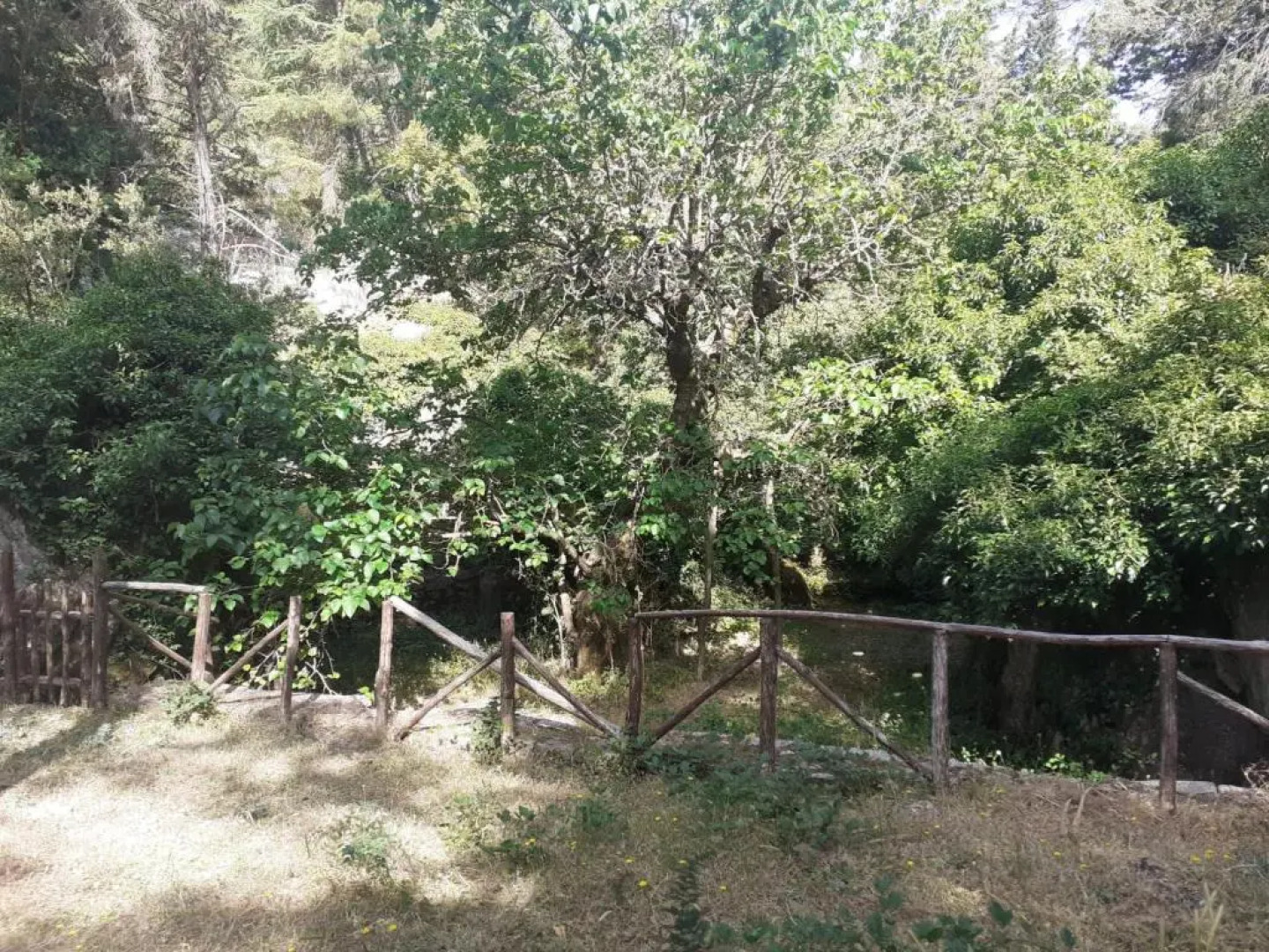 Guest House Piana Degli Albanesi