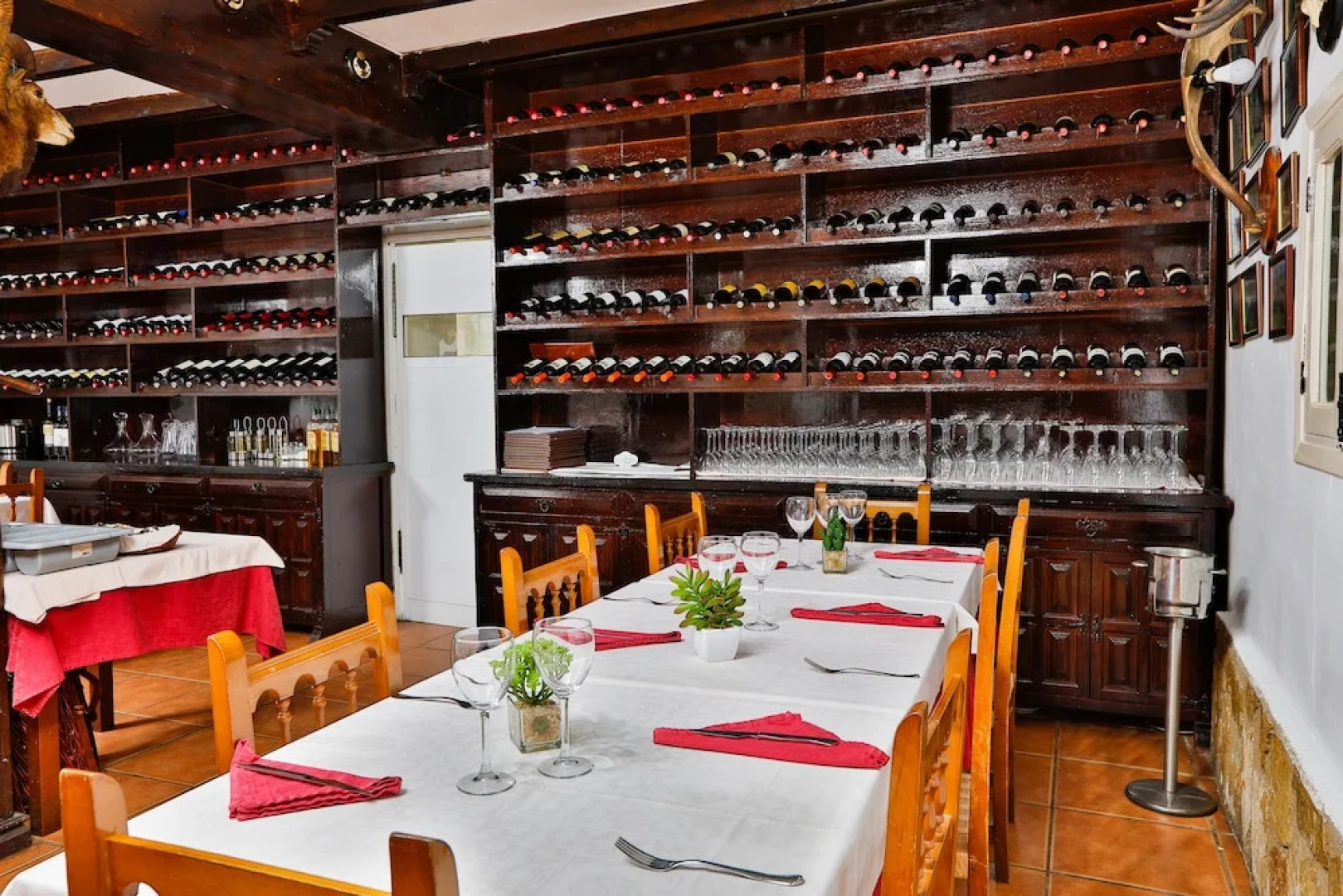 Noguera de la Sierpe