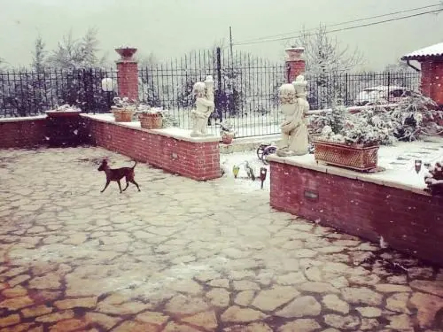 Il Casale Del Barone