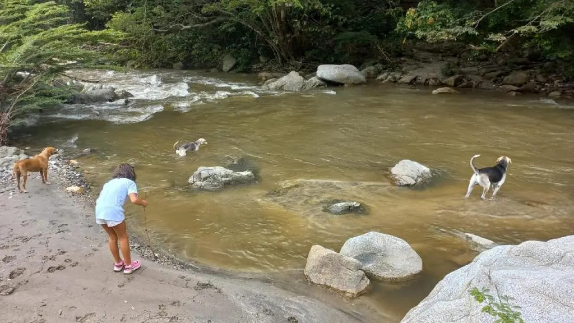 Tayrona Cachaco River