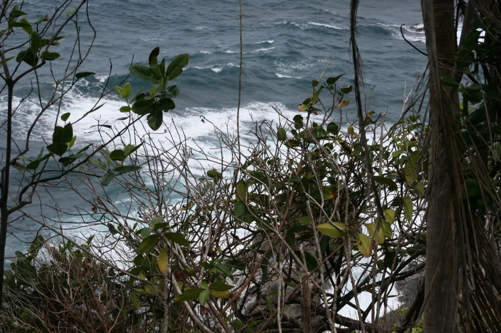 Sunrise Farm Cottages