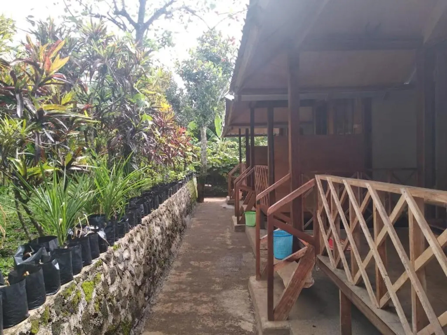 Blue Mountain Cottage