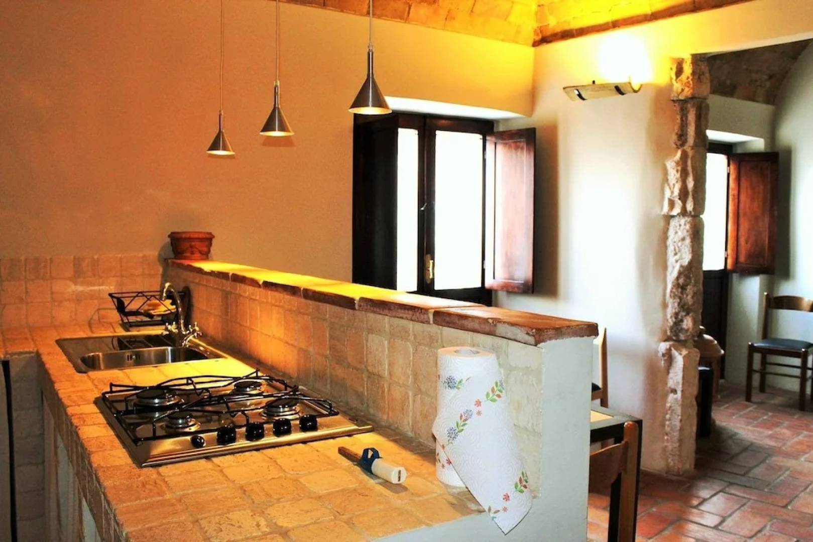 Orso - Parco Nazionale d'Abruzzo