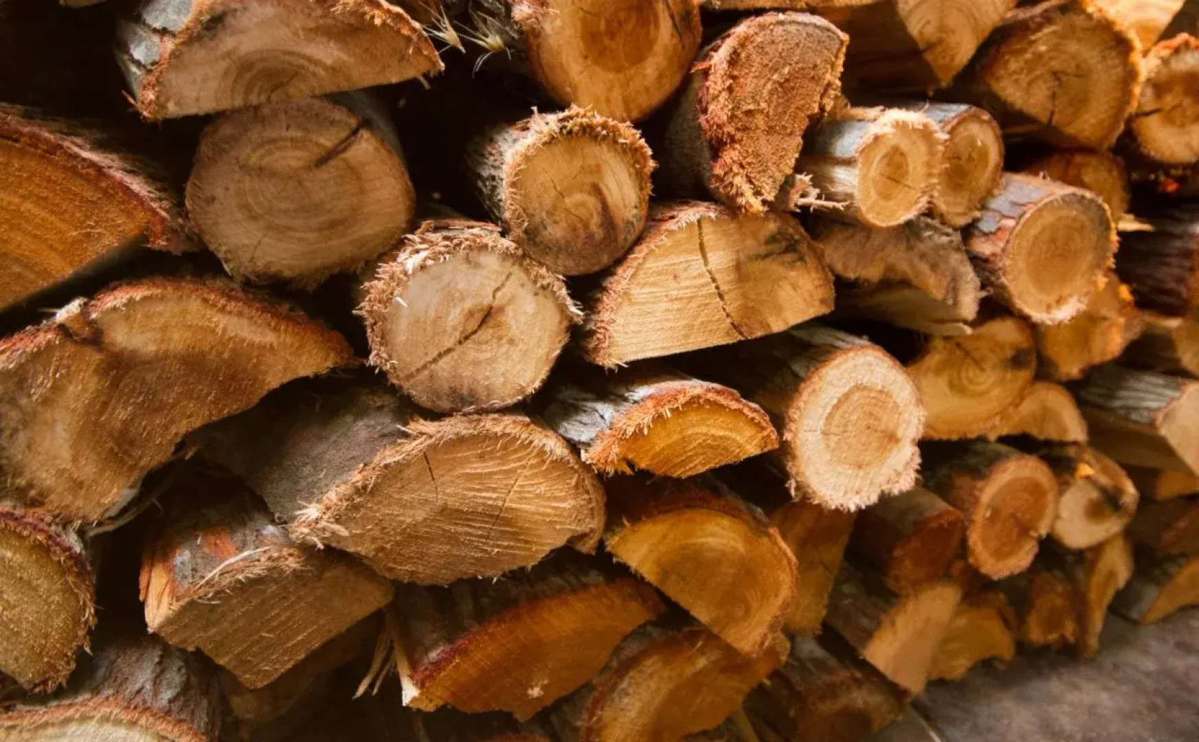 Little Rock Guest House