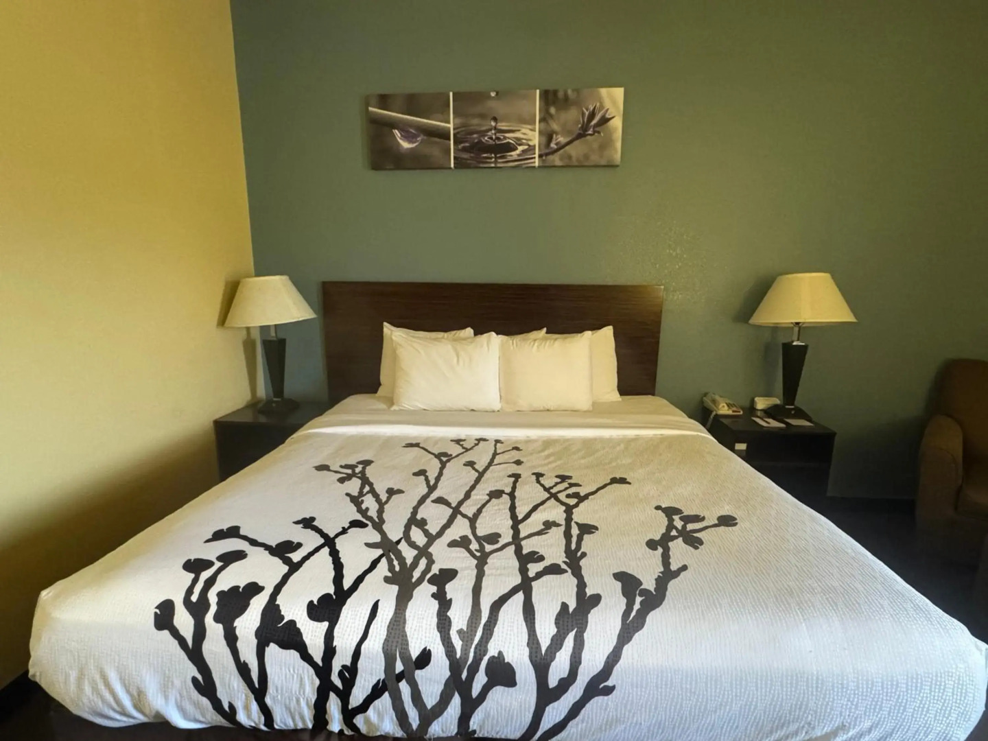 Sleep Inn & Suites Hattiesburg North