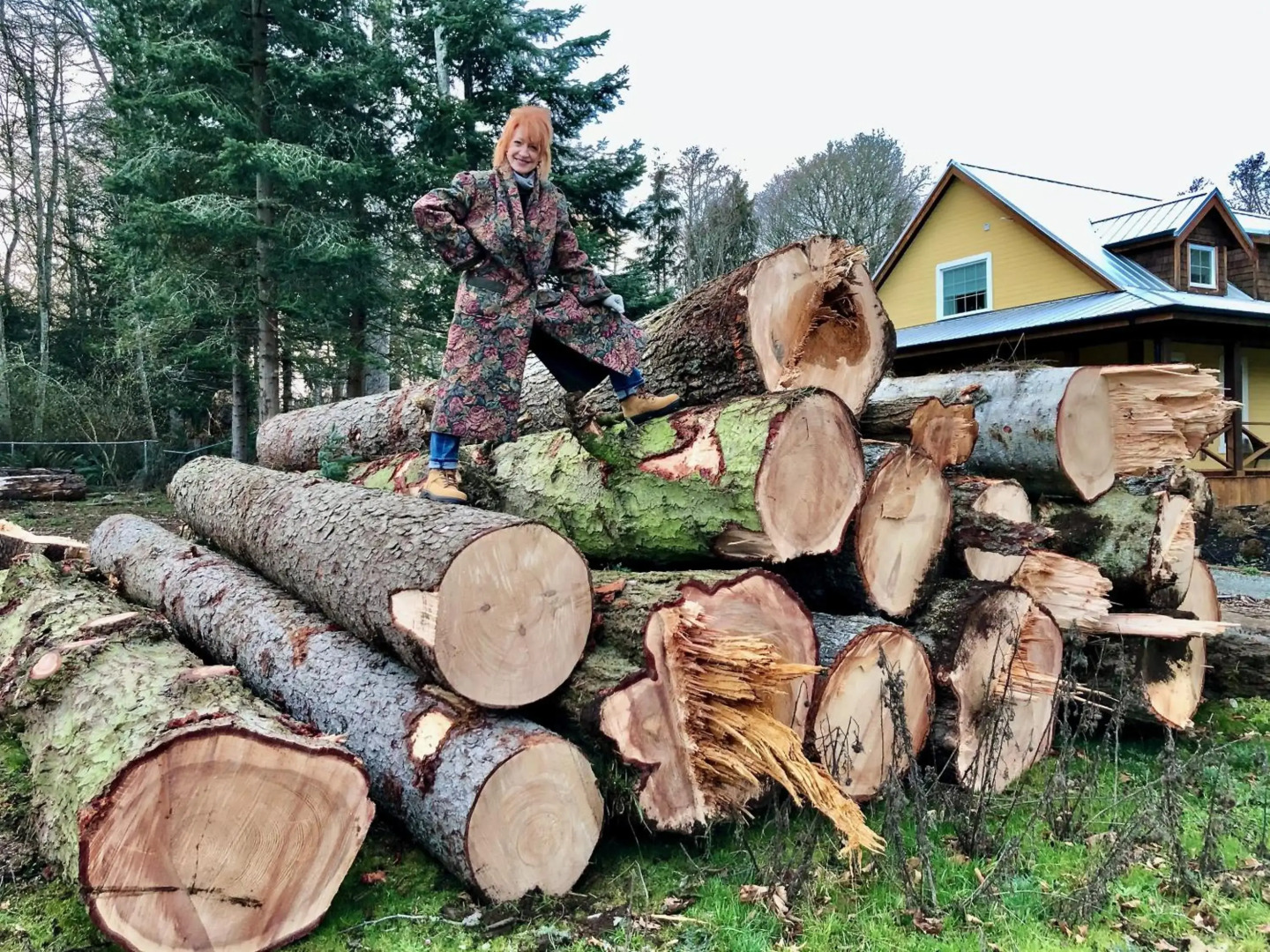 Seagull Studio Vacation Guest Suite