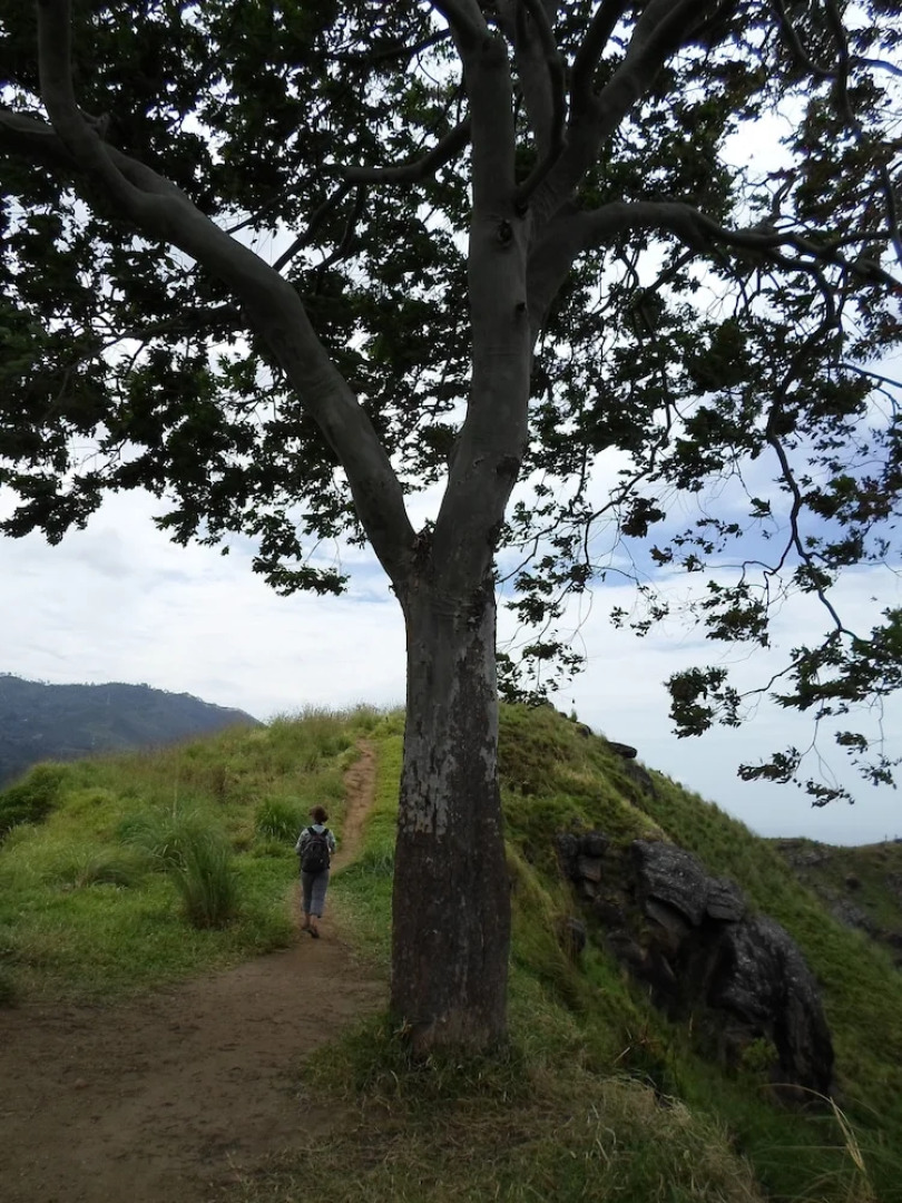 Samadhi Guest Inn Ella