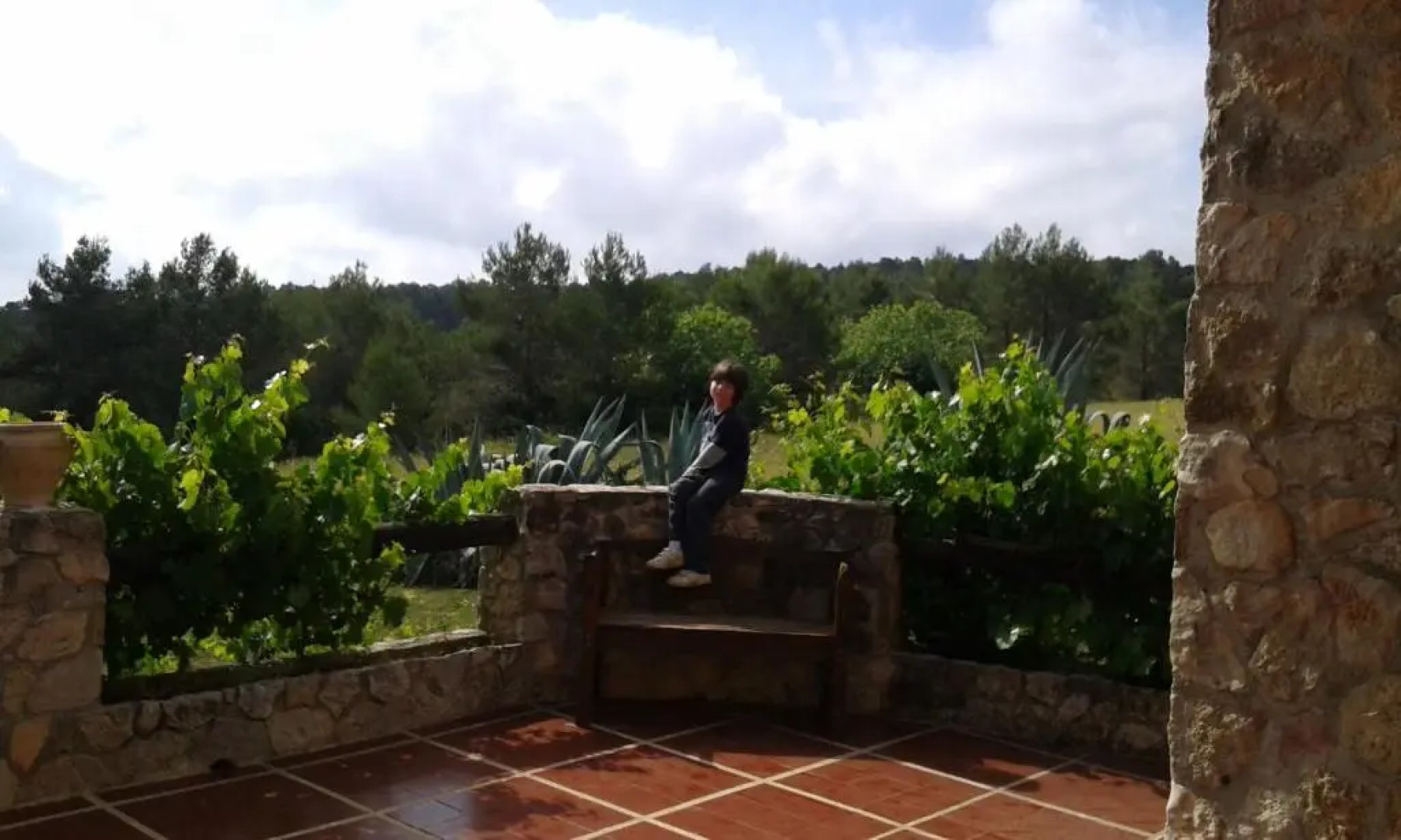 Charming rural house Caserio La Chirala, ideal para familia private pool