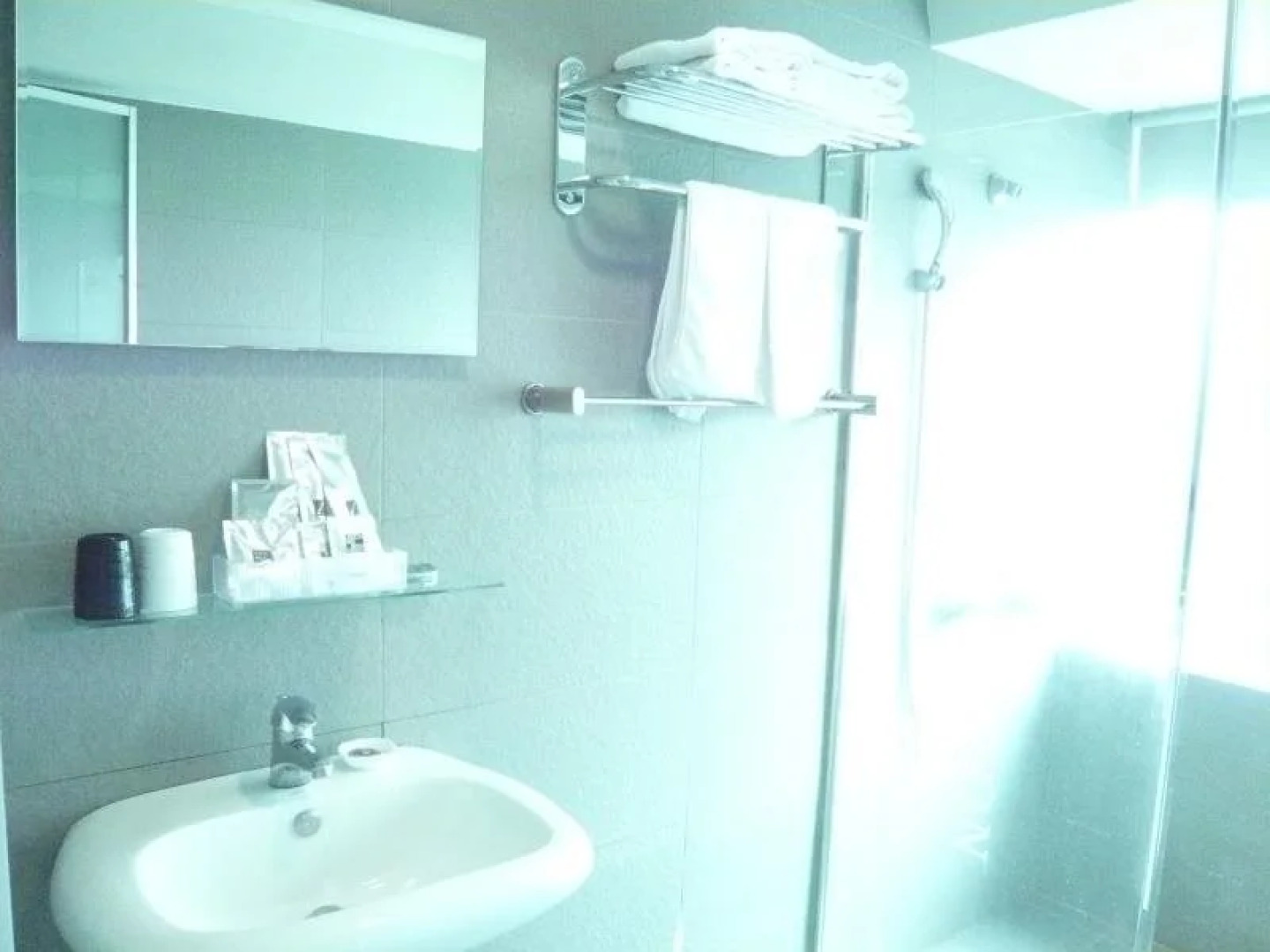 Sodamazon Business Hotel