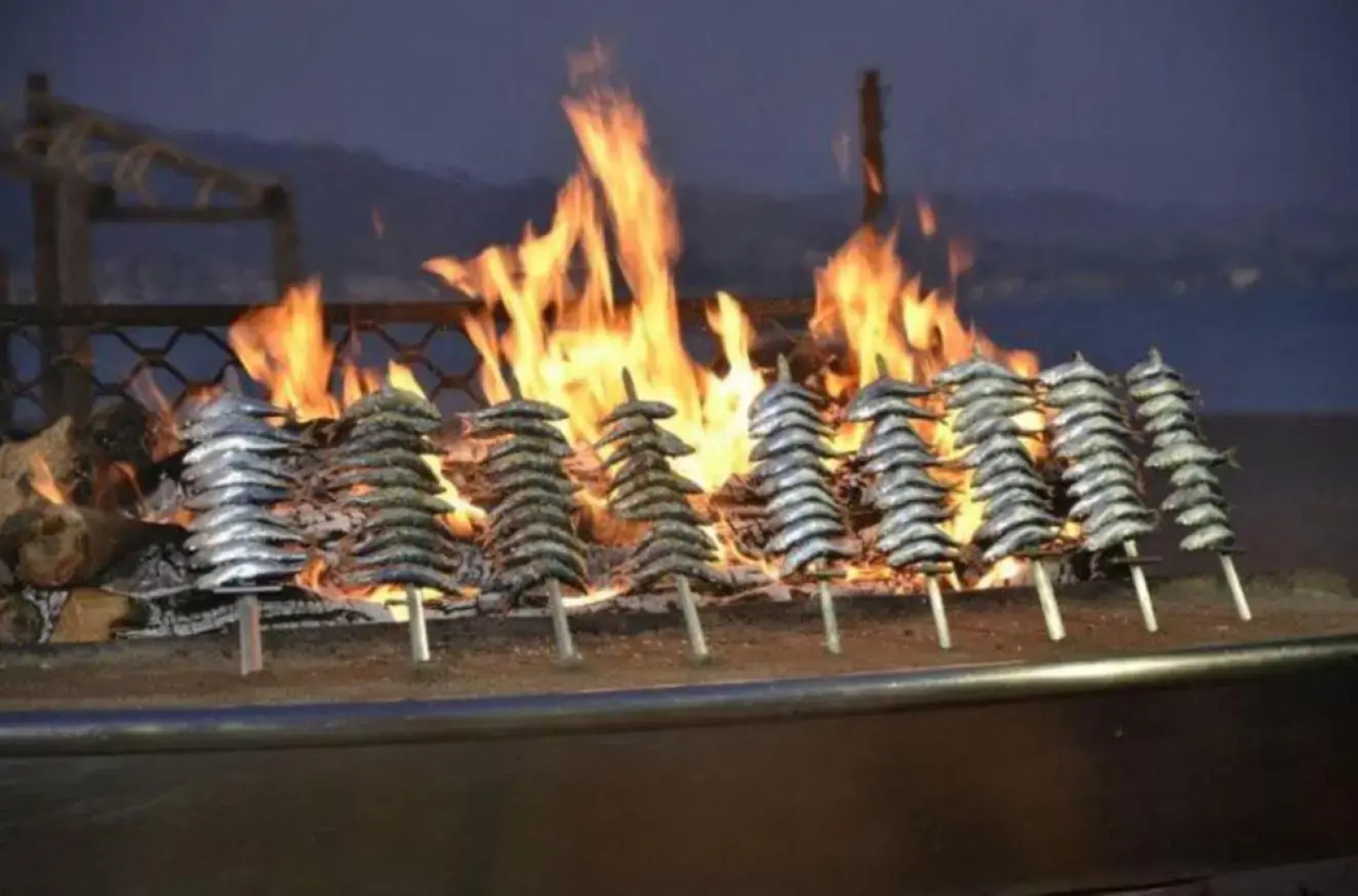 Apartamento en Magnifico Resort - Parque Botanico