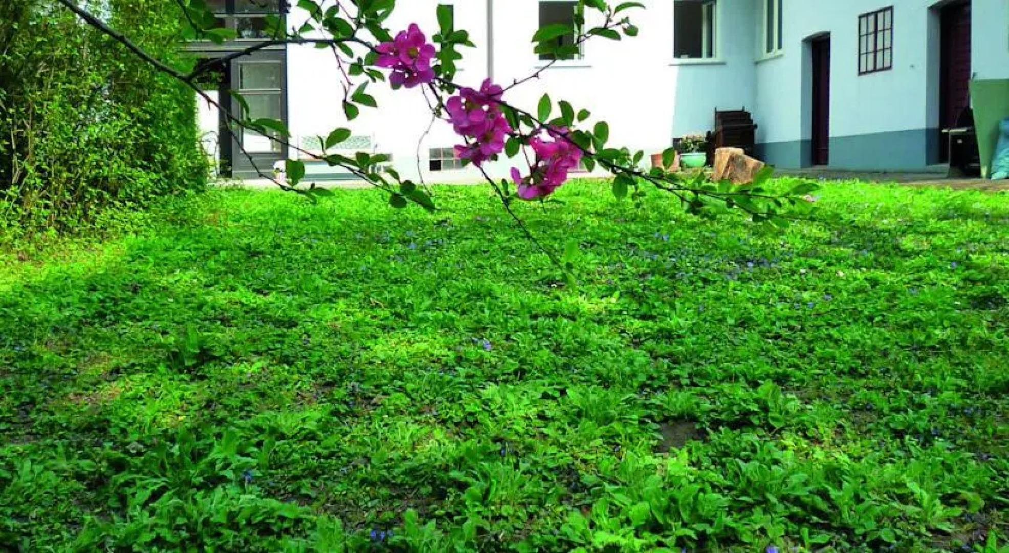 Ferienhaus Stadt Land