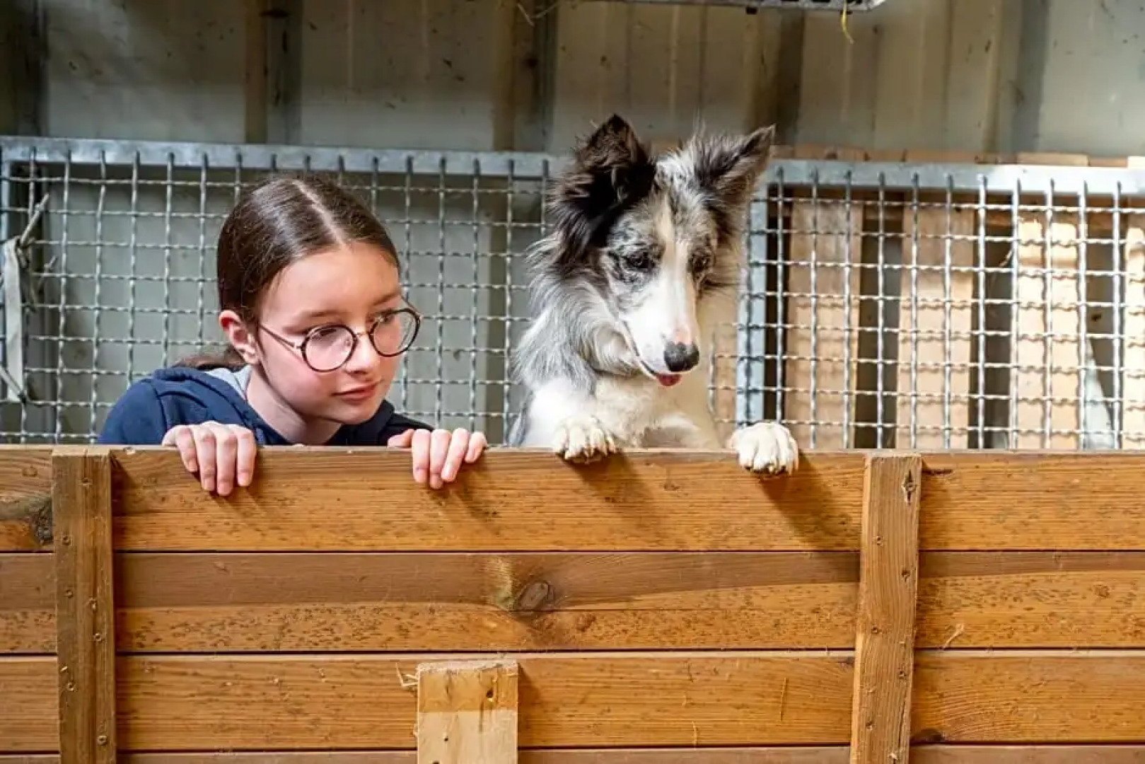 La Ferme du Moulin de Bois