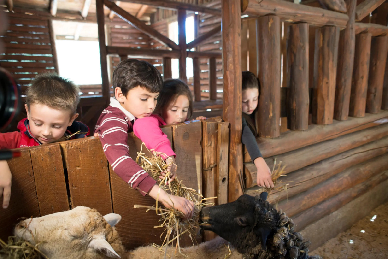 Bosques De Monterreal
