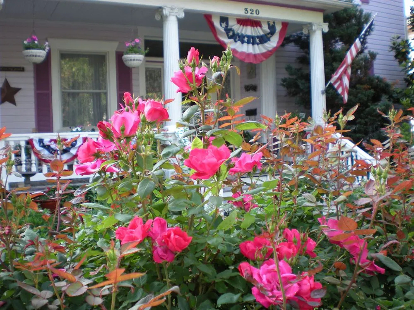 Belle Hearth Bed and Breakfast