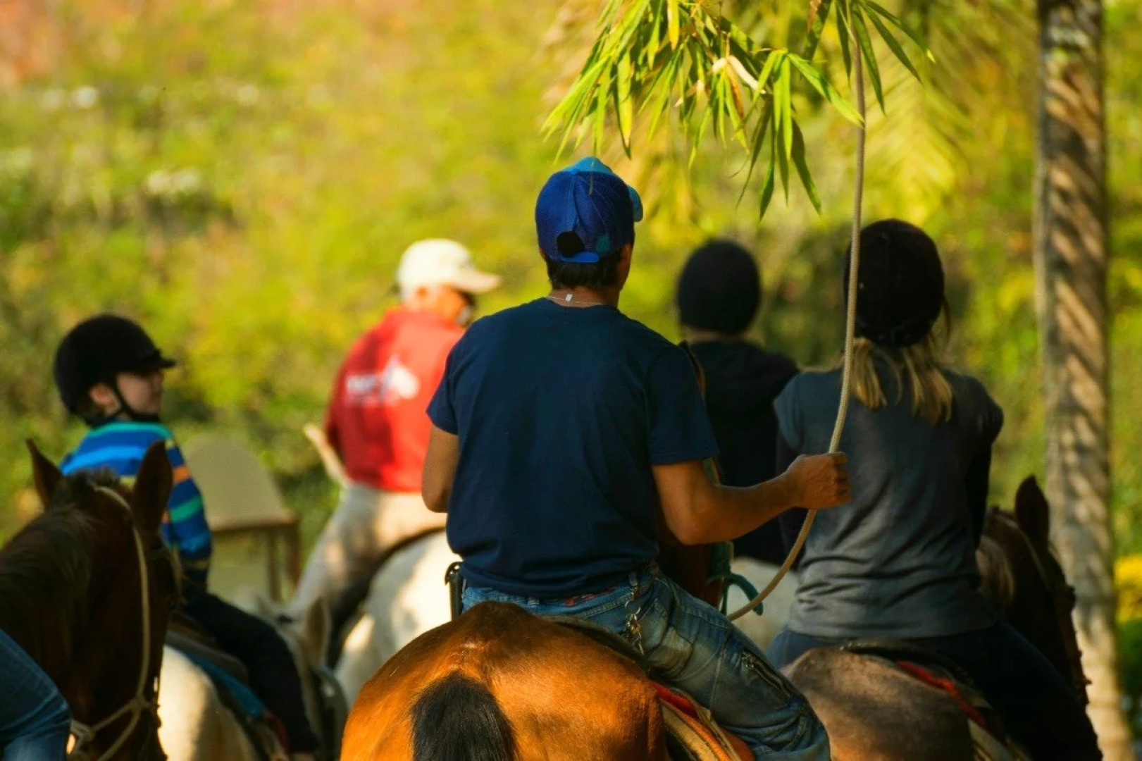 Hotel Fazenda Fonte Colina Verde