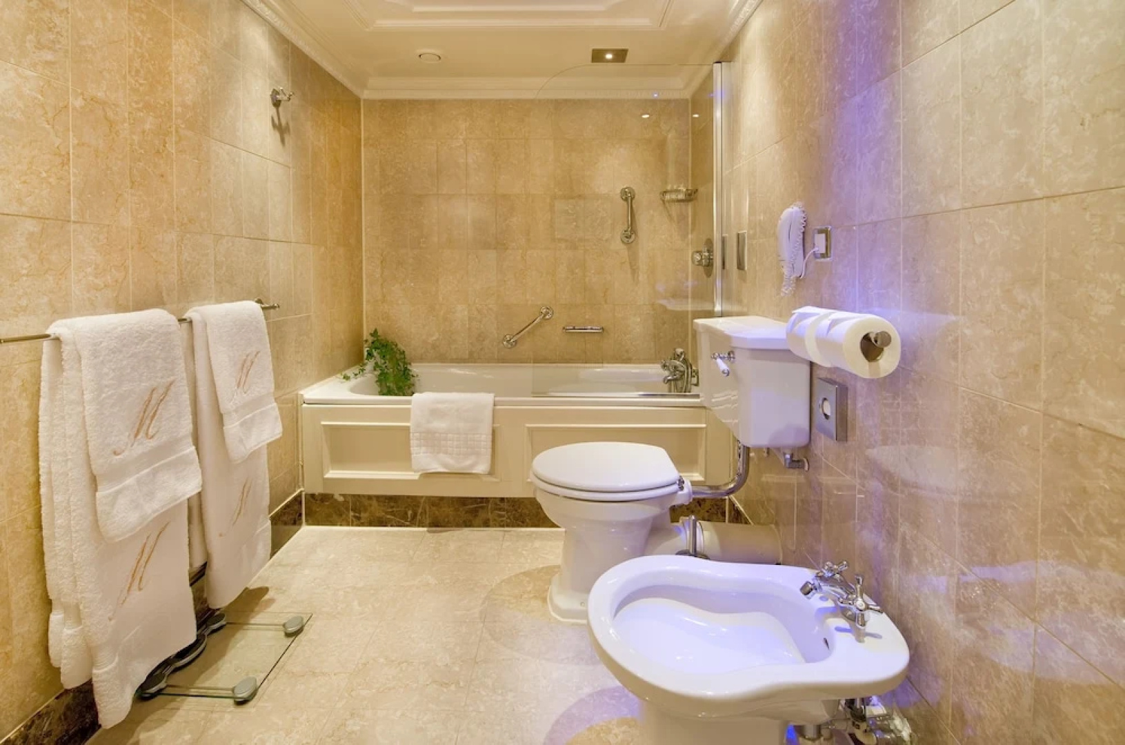 The Milestone Hotel  Apartments