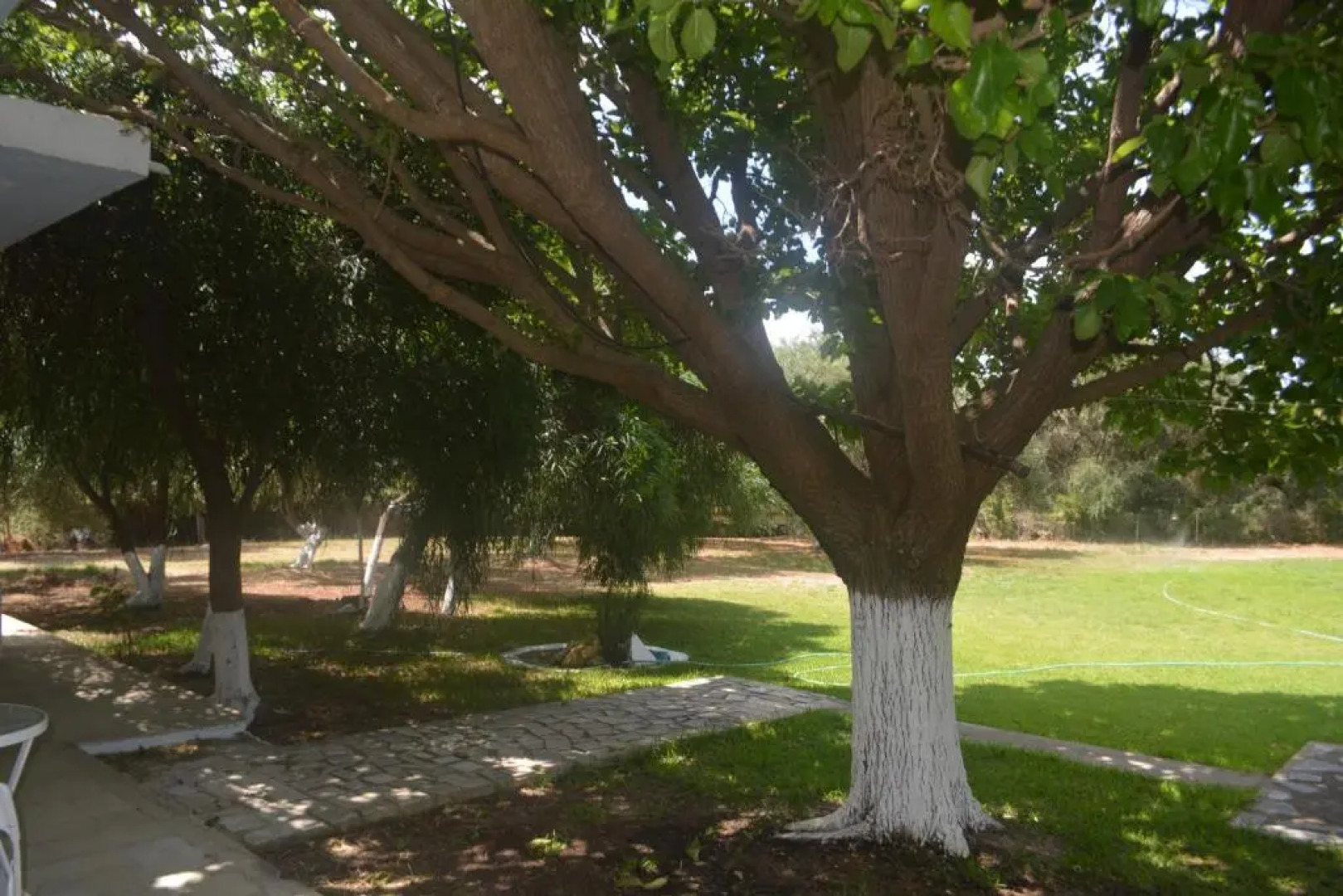 Filoxenia Apartments