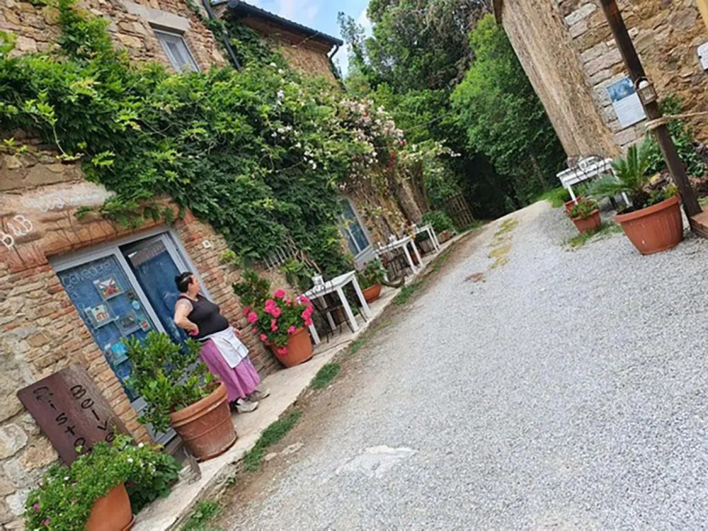 Bed And Breakfast Belvedere