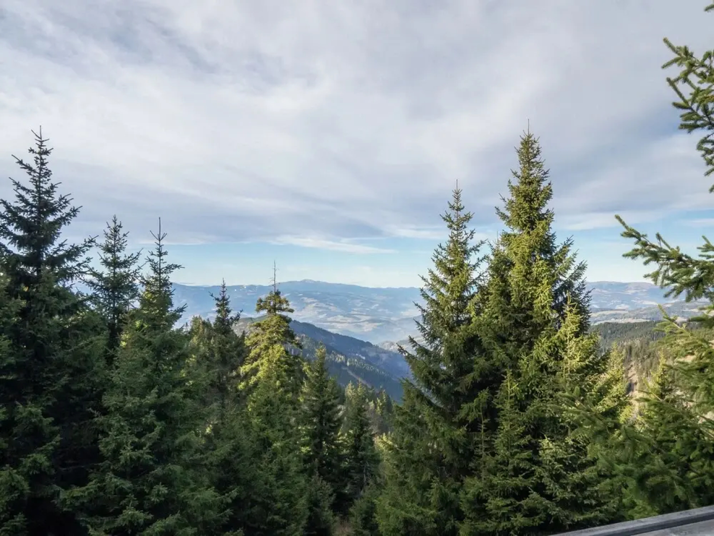 Wooden Chalet in Koralpe Amid the Forest
