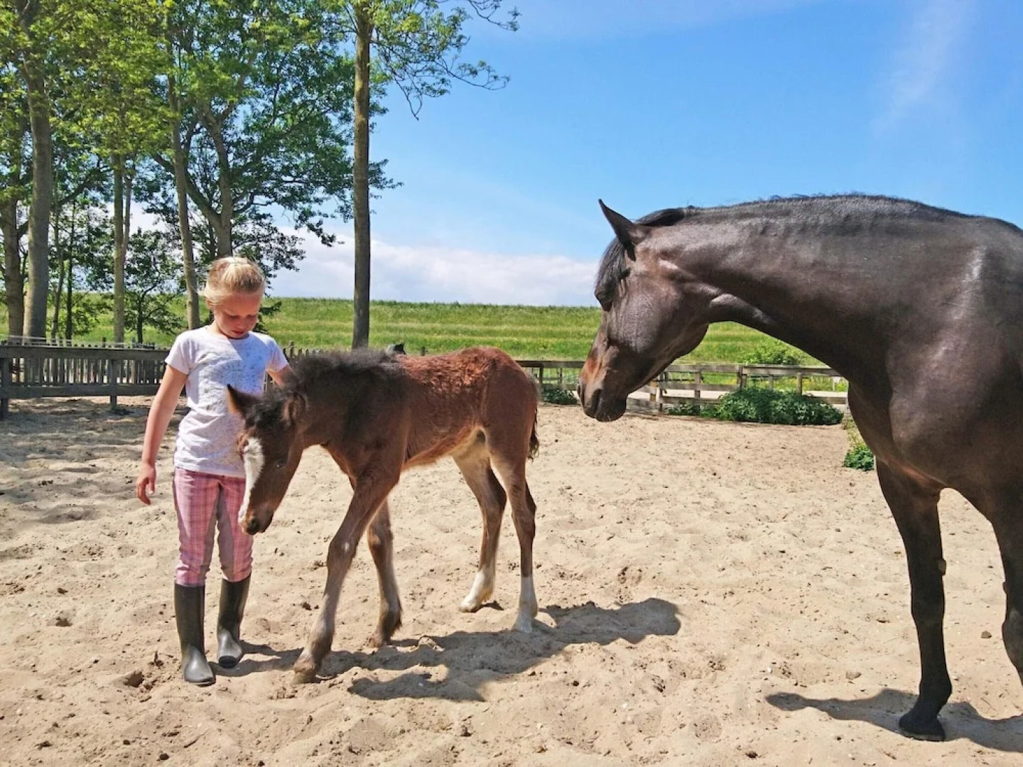 Detached Holiday Home With Jetty Near Hoorn