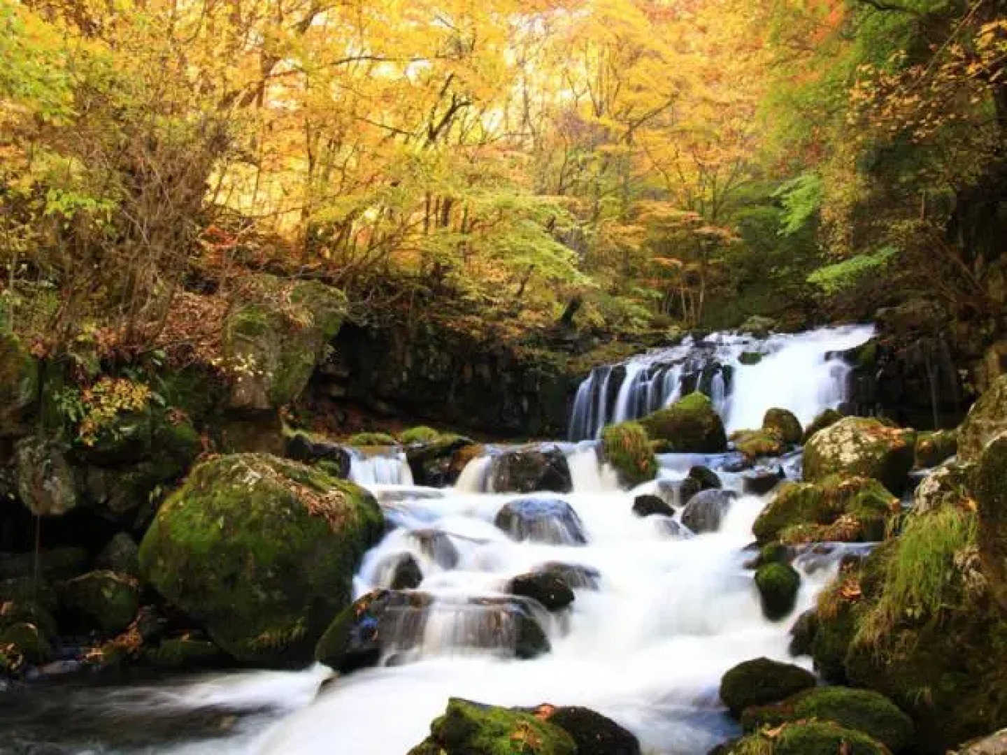 Shirakabako View Hotel