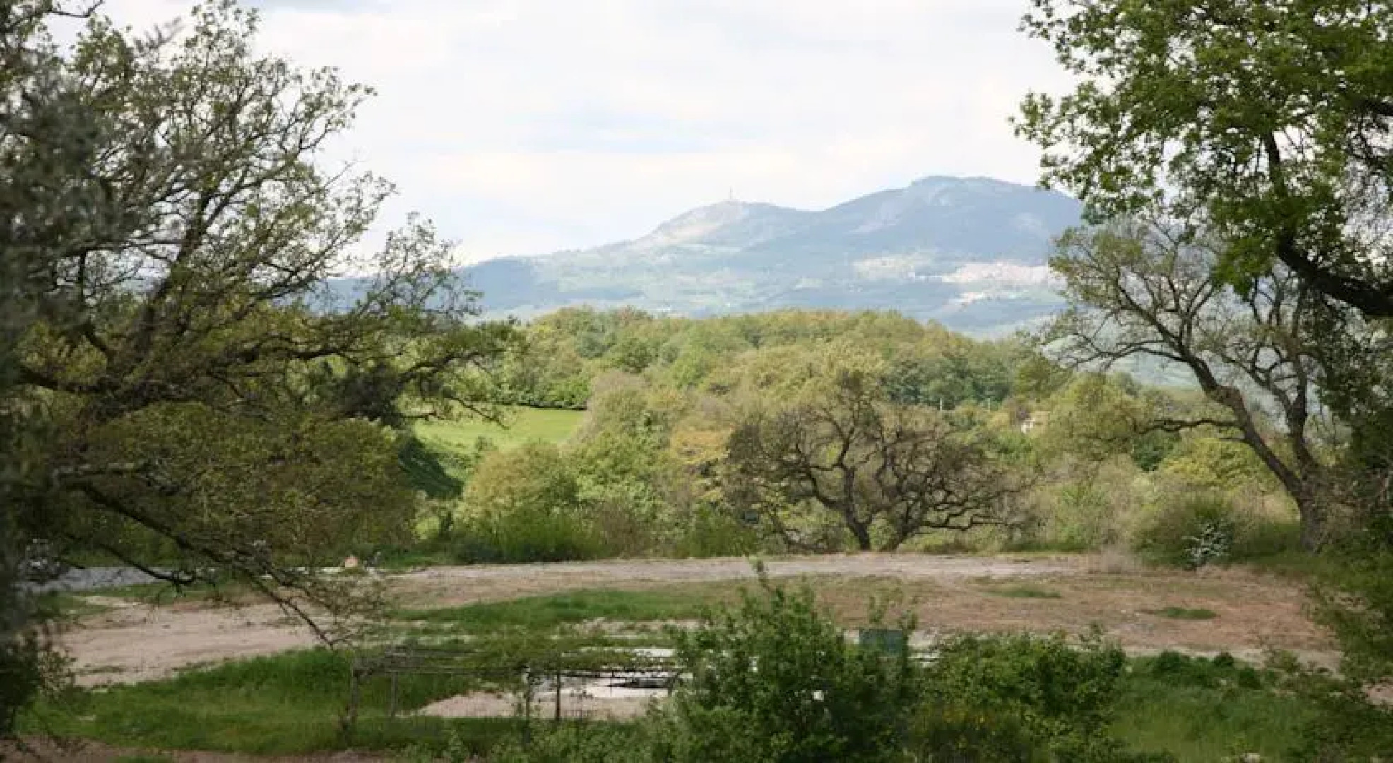 Casale Luna Tra Gli Ulivi