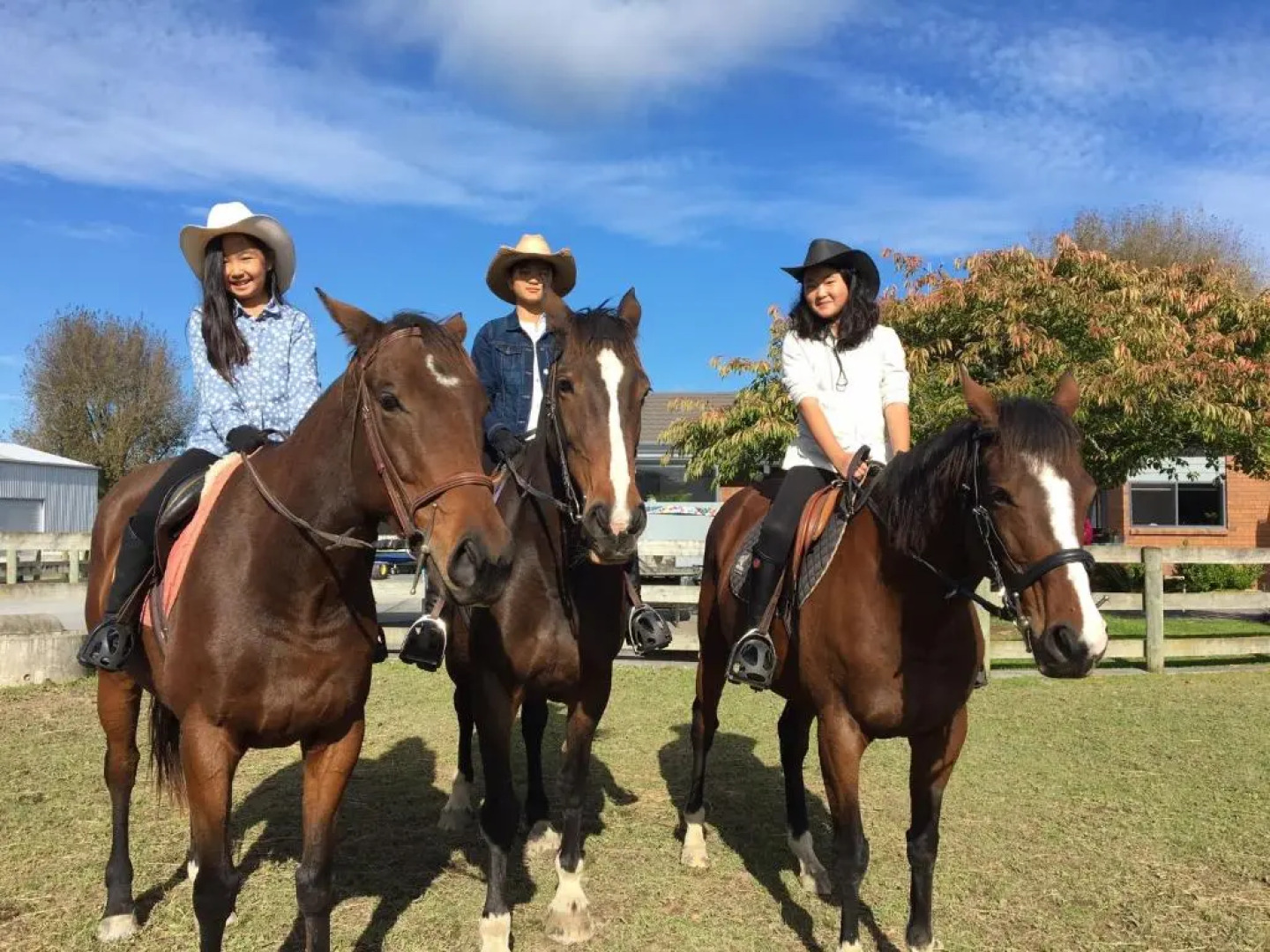 Unique Equestrian Lifestyle