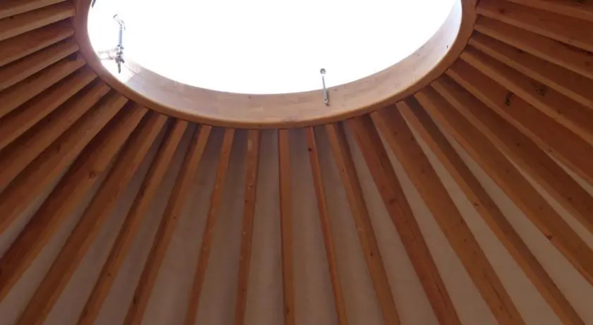 Les Carlines du Grand Bois