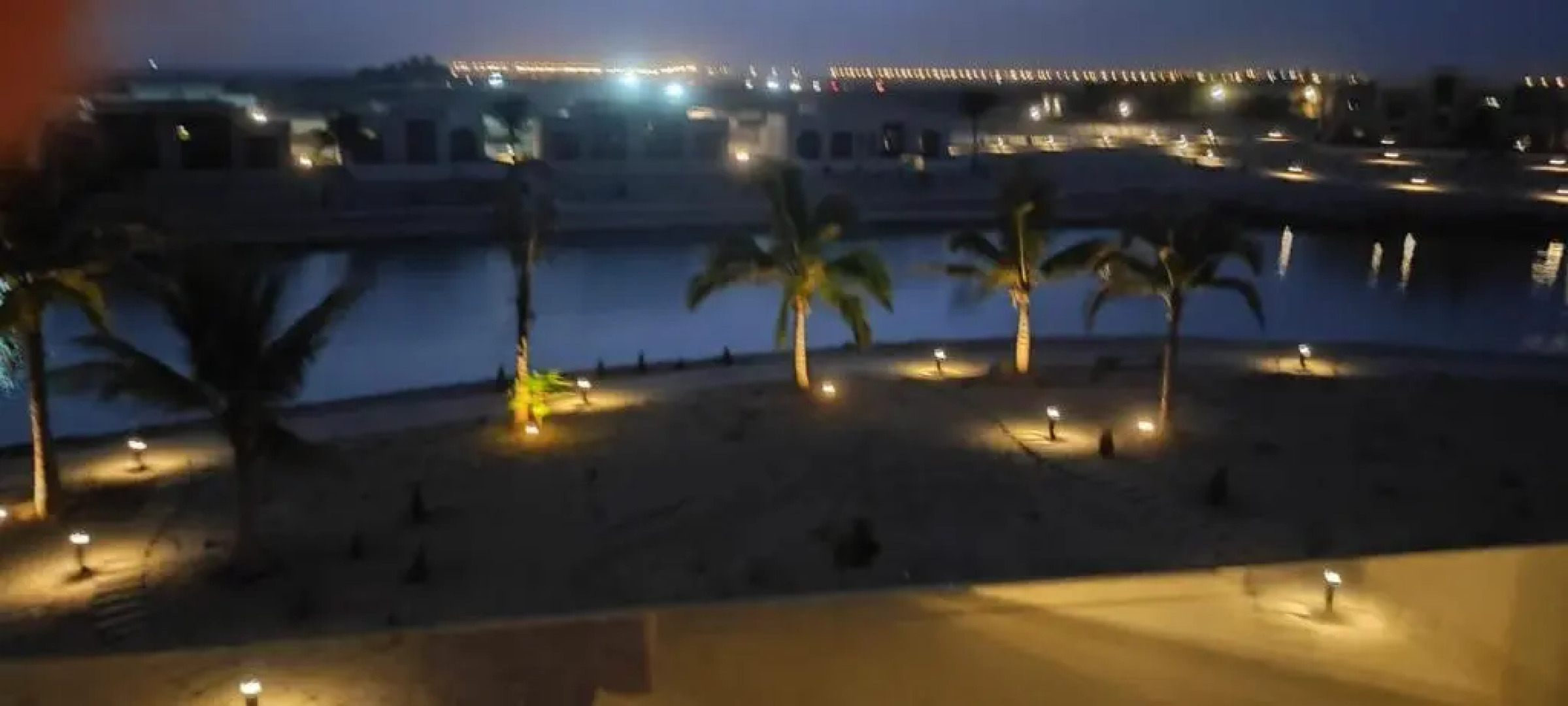 Acacia Flower AC 8-201