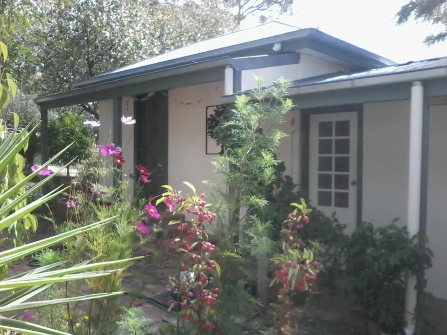 Friends in Harcourt North