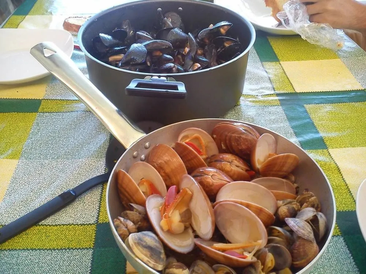 Tulip & Lotus Apartments Palermo